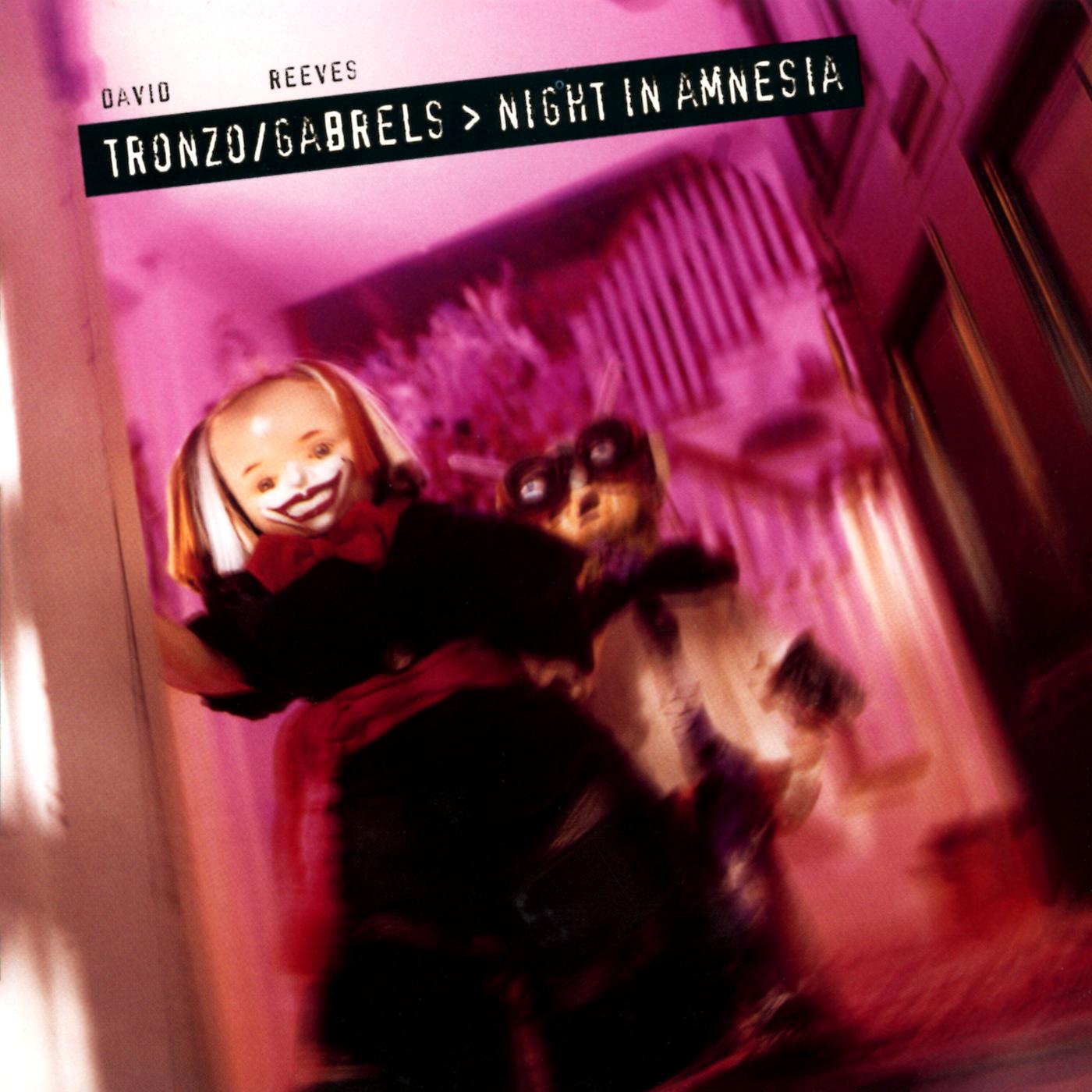 Постер альбома Night In Amnesia