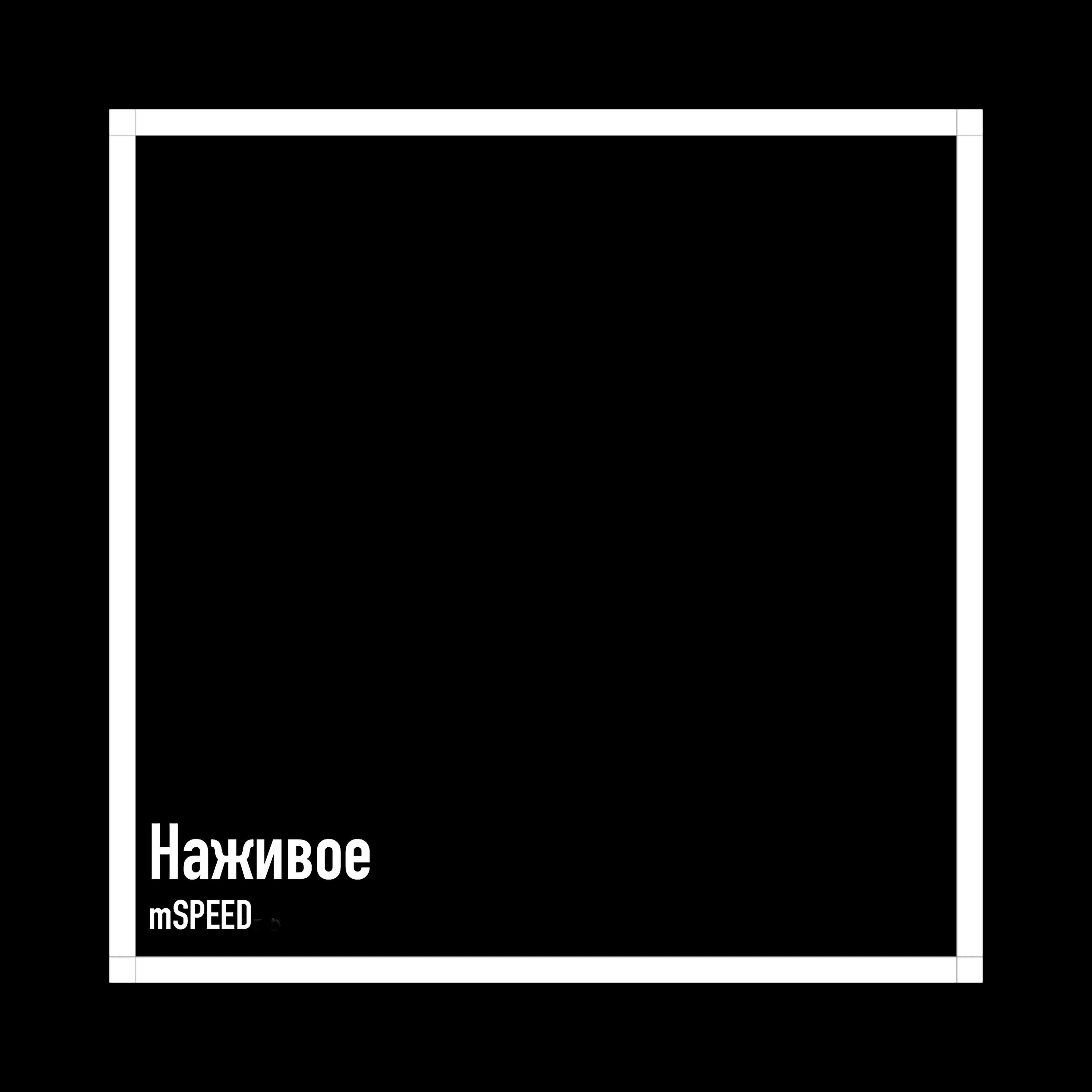 mSPEED - Вступление