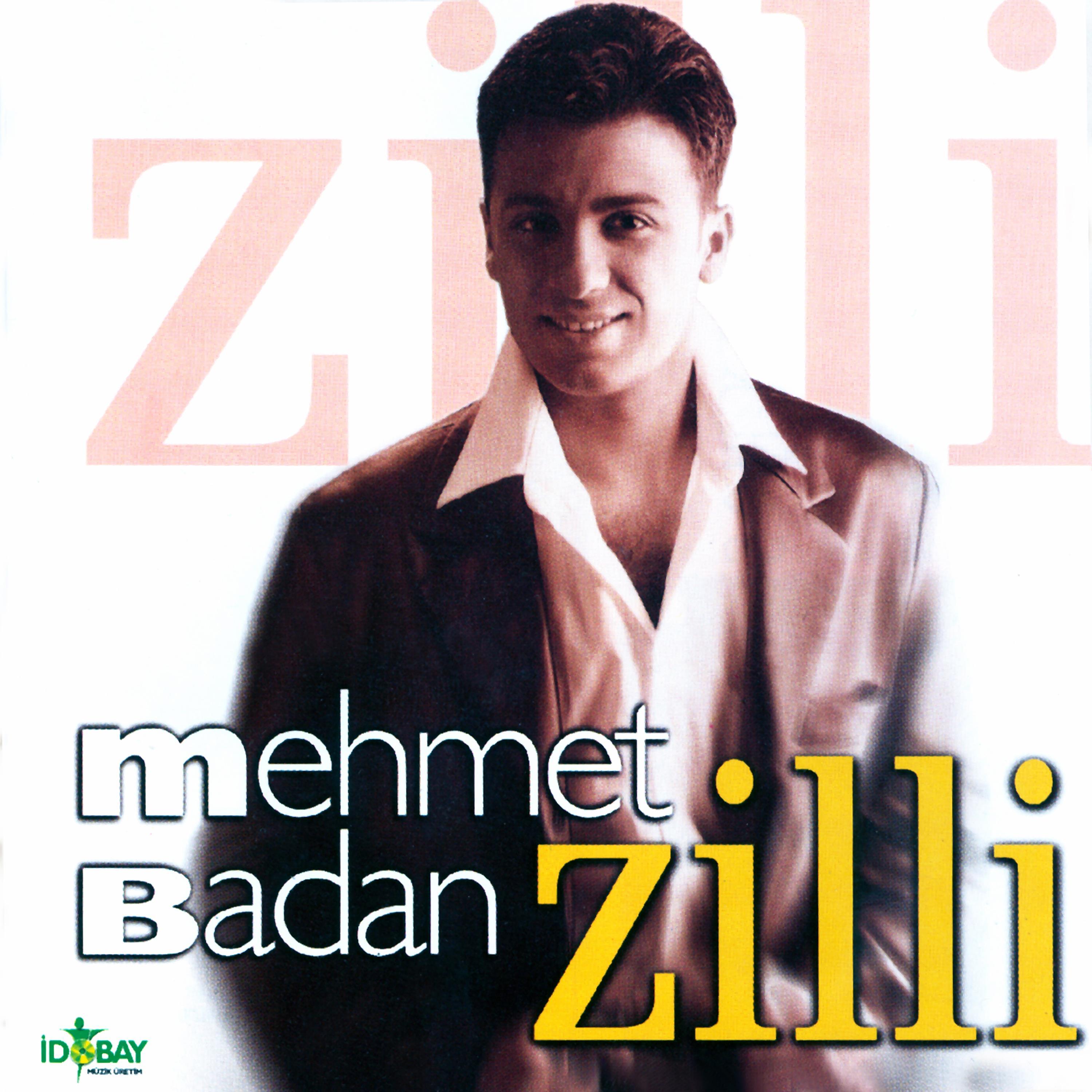 Постер альбома Zilli