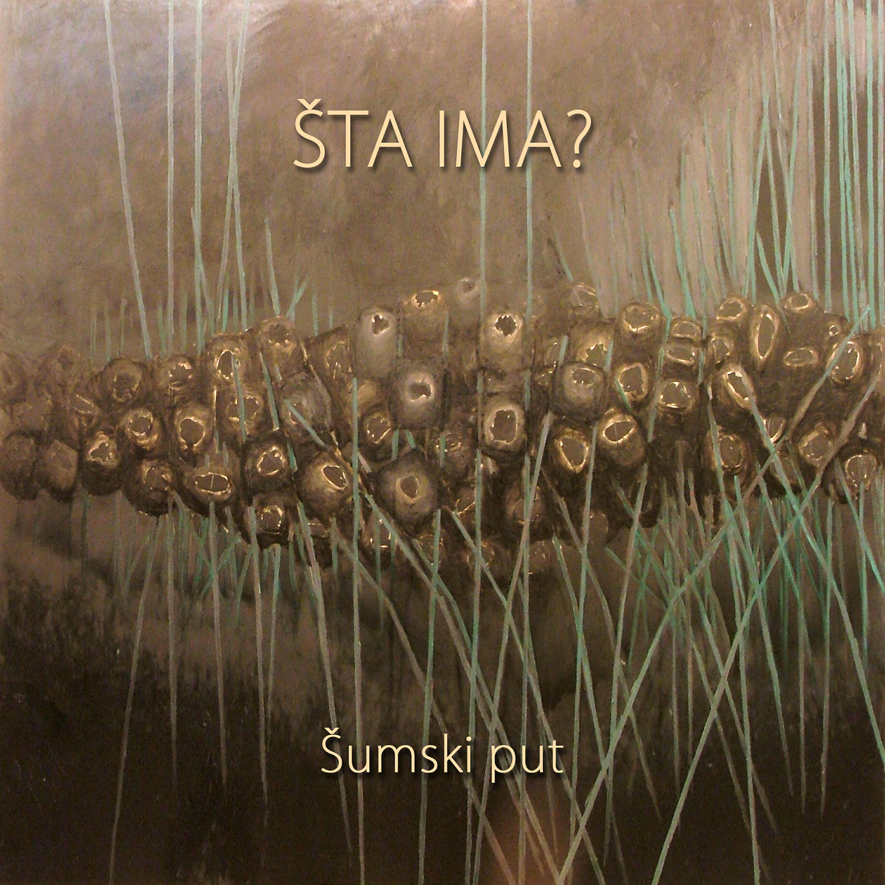 Sta Ima - Sumski Put