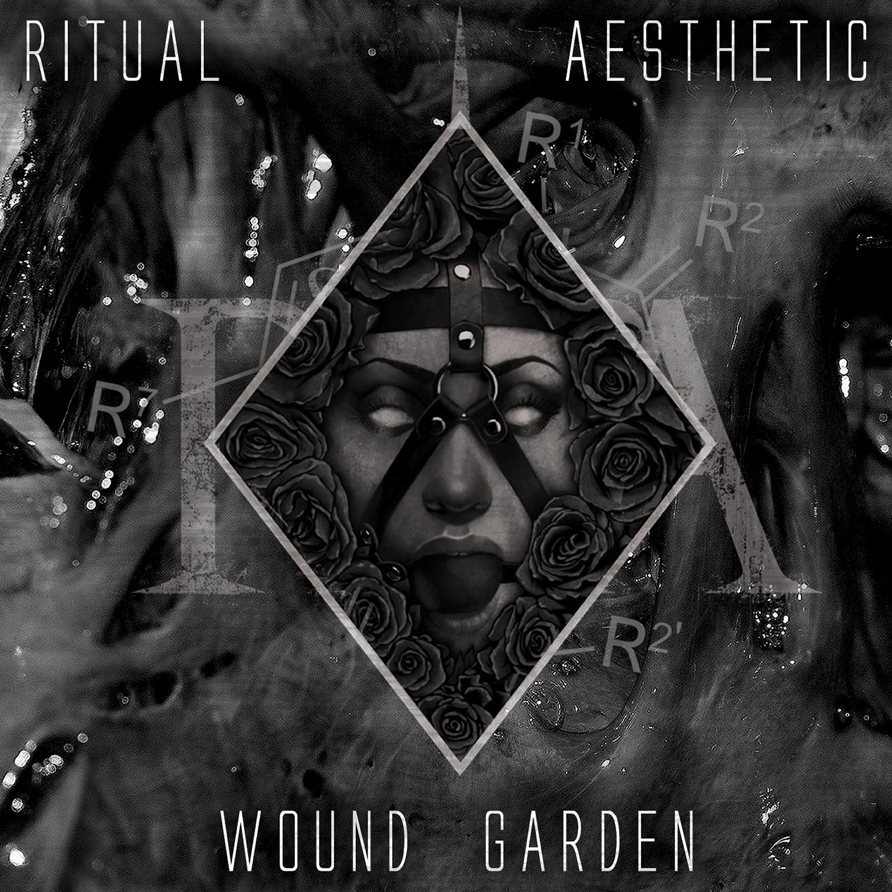 Ritual Aesthetic - Chemical Weapons (Seraphim System Remix)