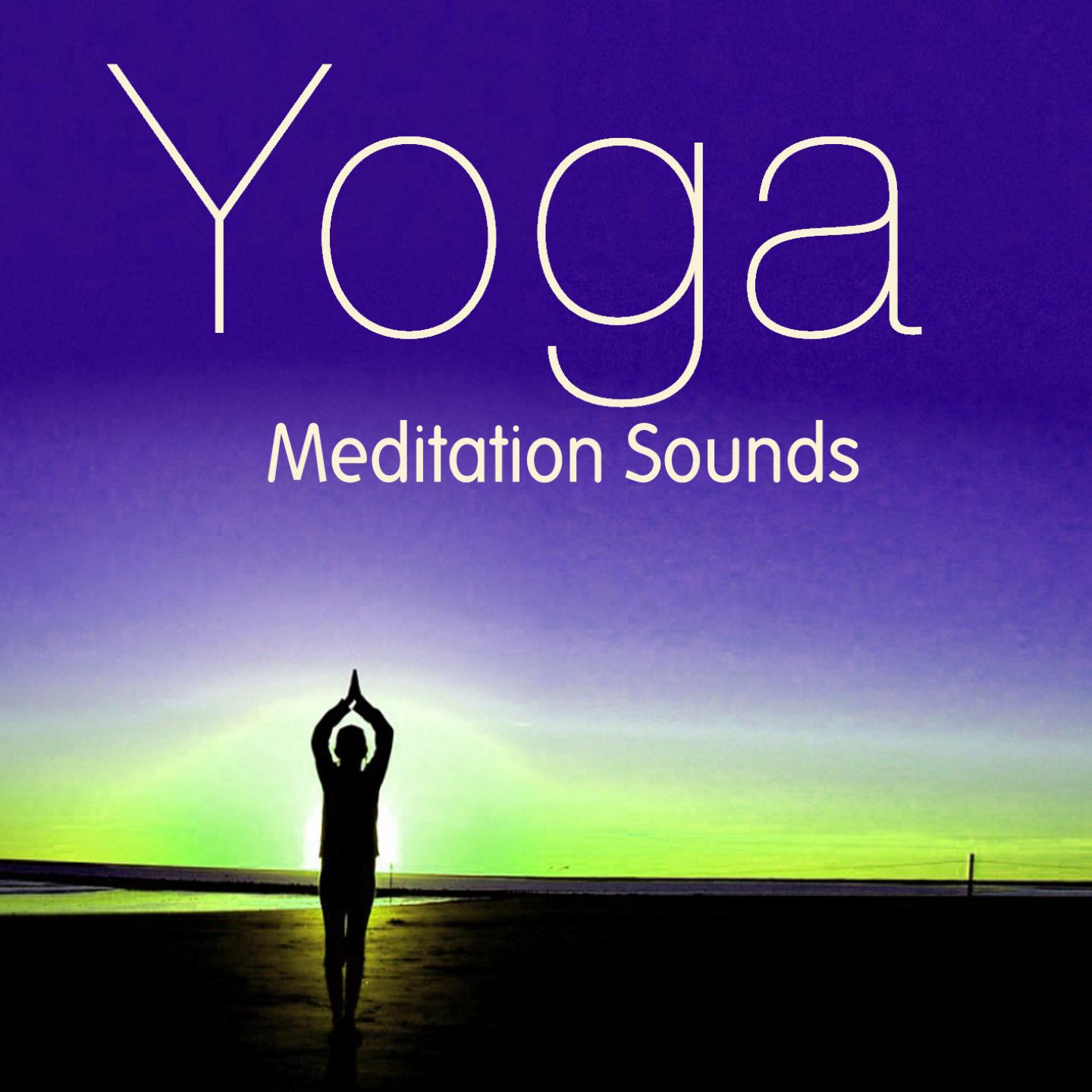 Постер альбома Yoga Medidation Sounds