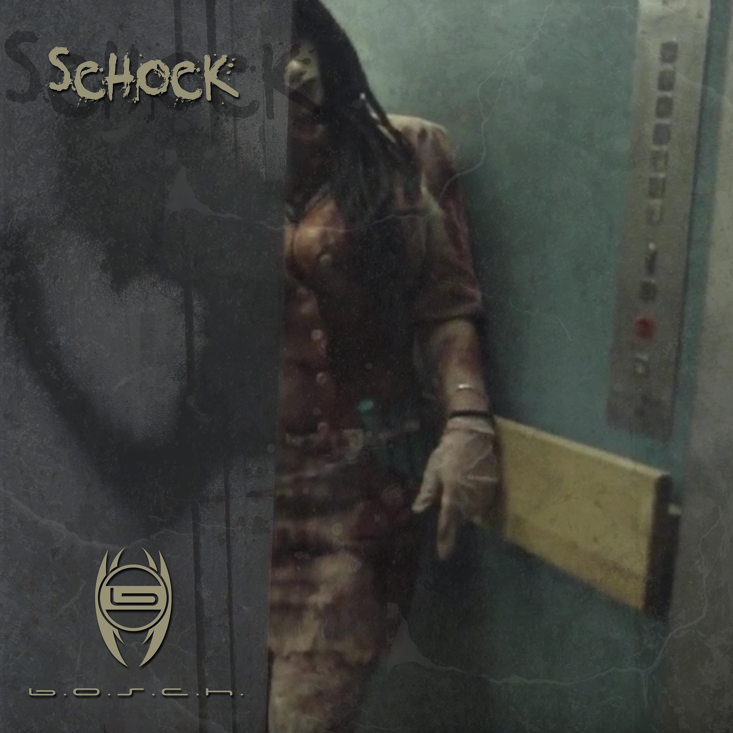 Постер альбома Schock