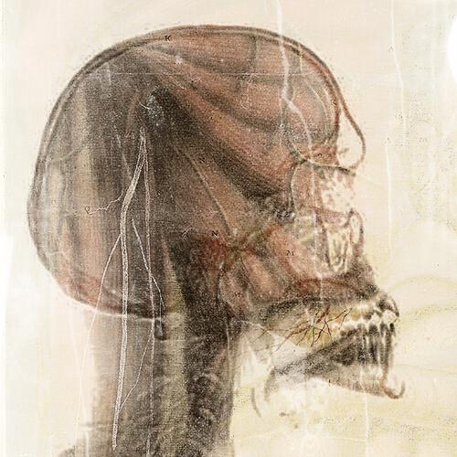 Marek Hunhap - Cerveau ramolli