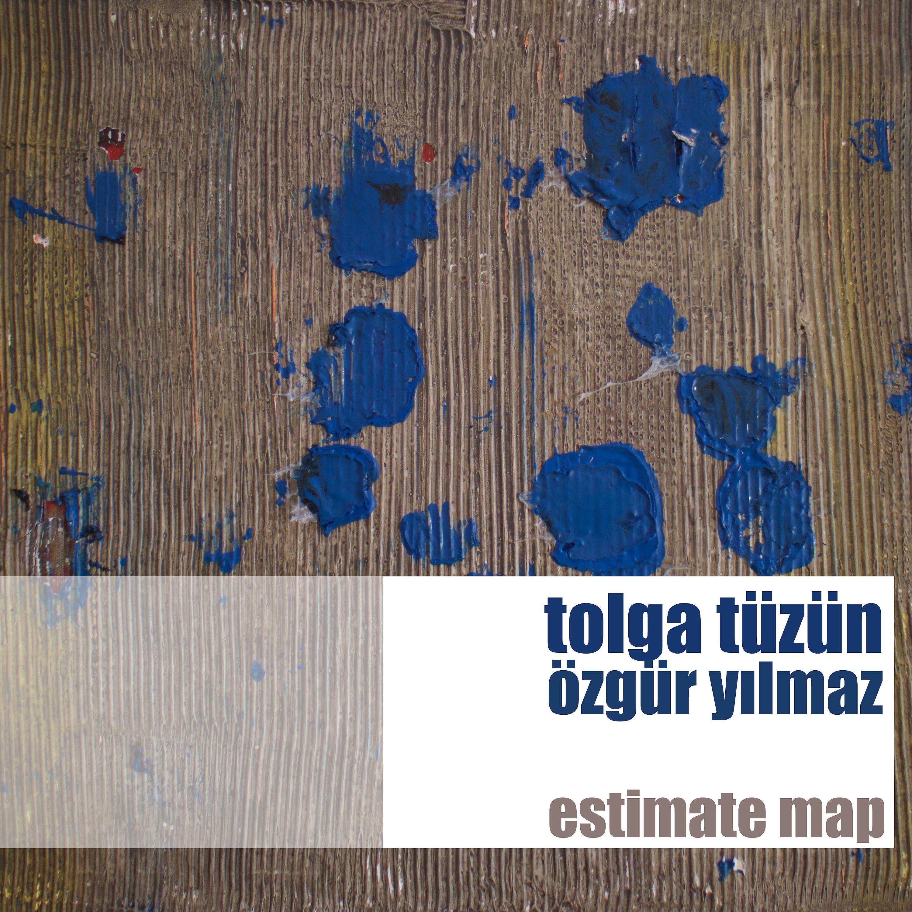 Постер альбома Estimate Map
