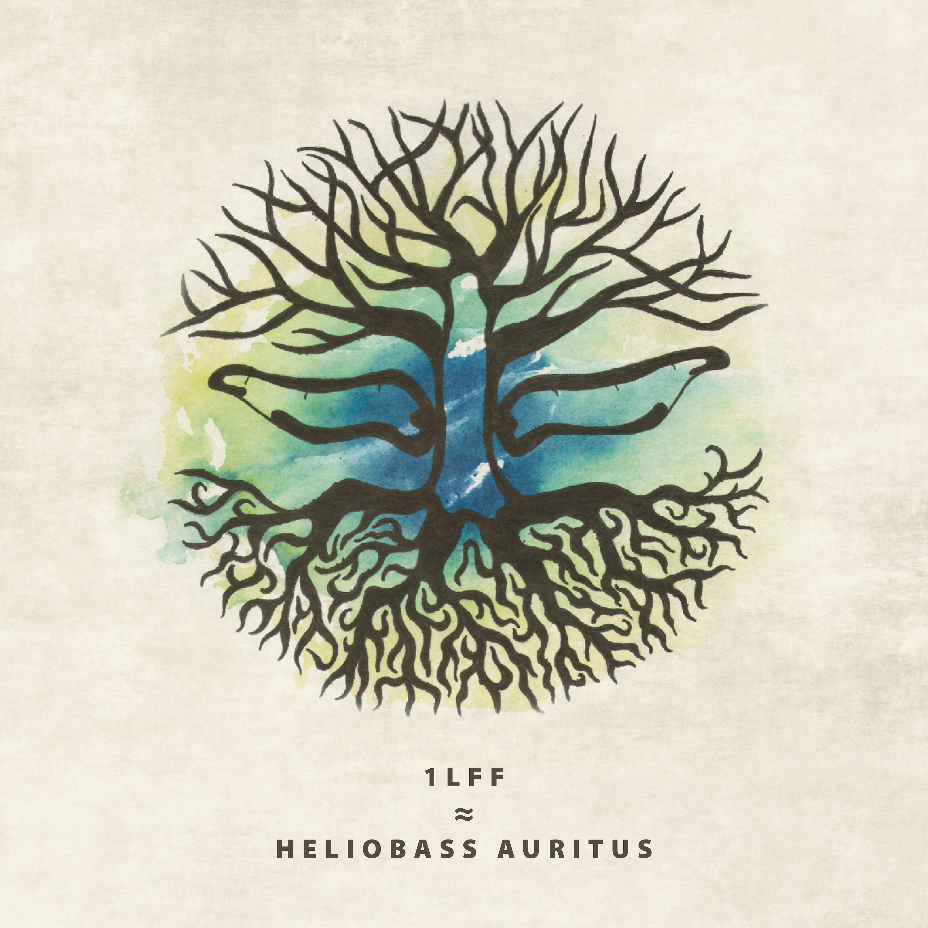 Постер альбома Heliobass Auritus