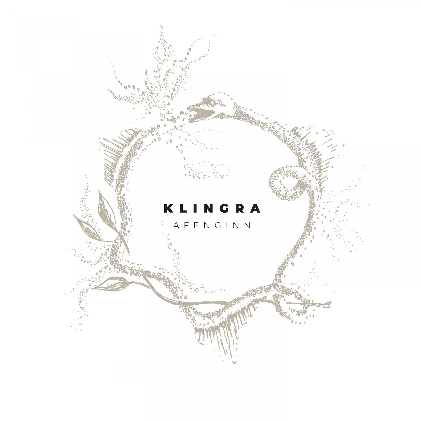 Постер альбома Klingra