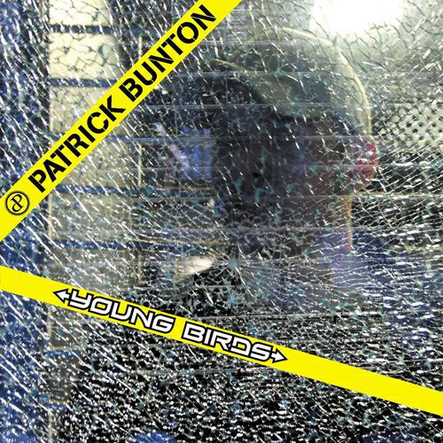 Patrick Bunton - Young Birds (Lenny Mcdustin Remix)