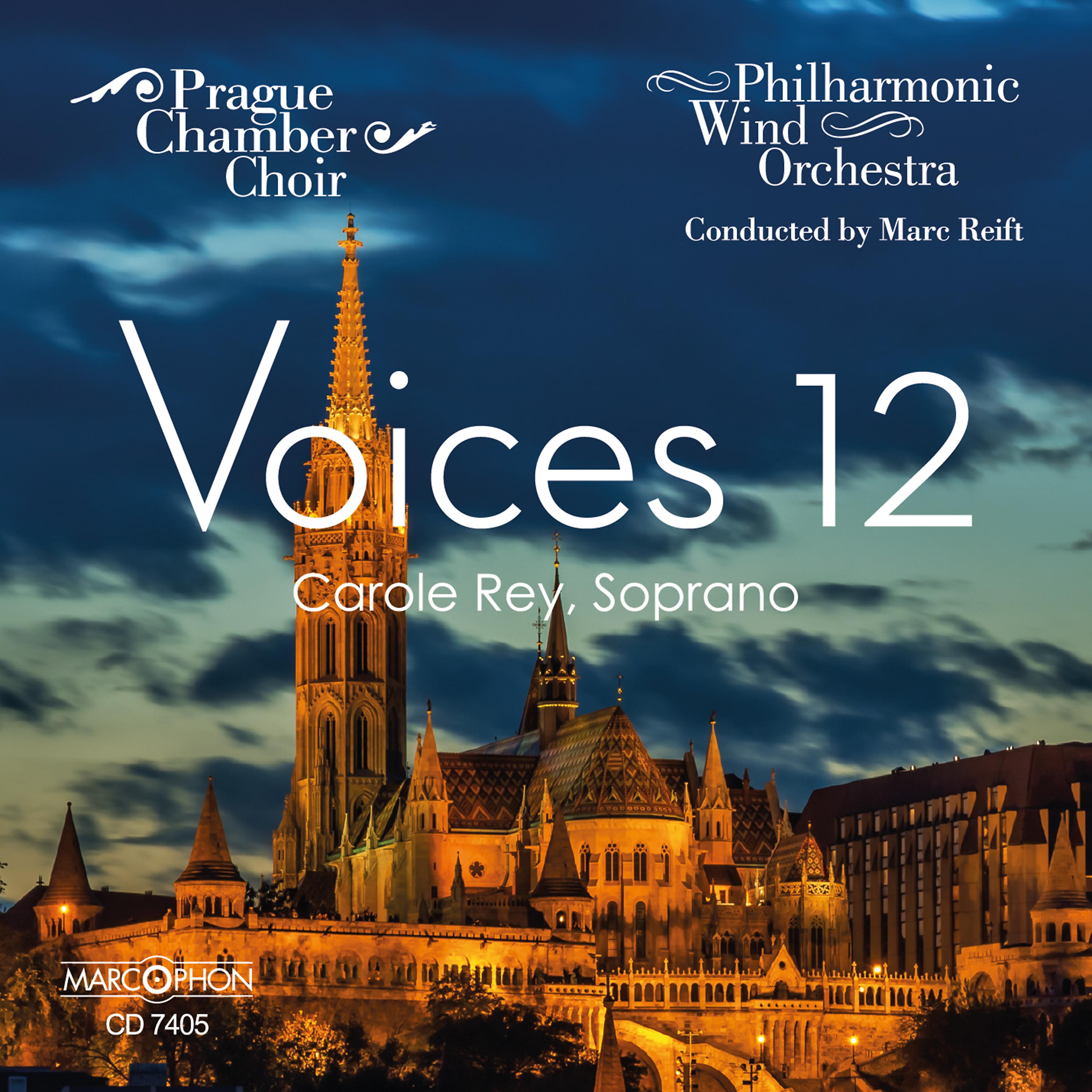 Постер альбома Voices 12