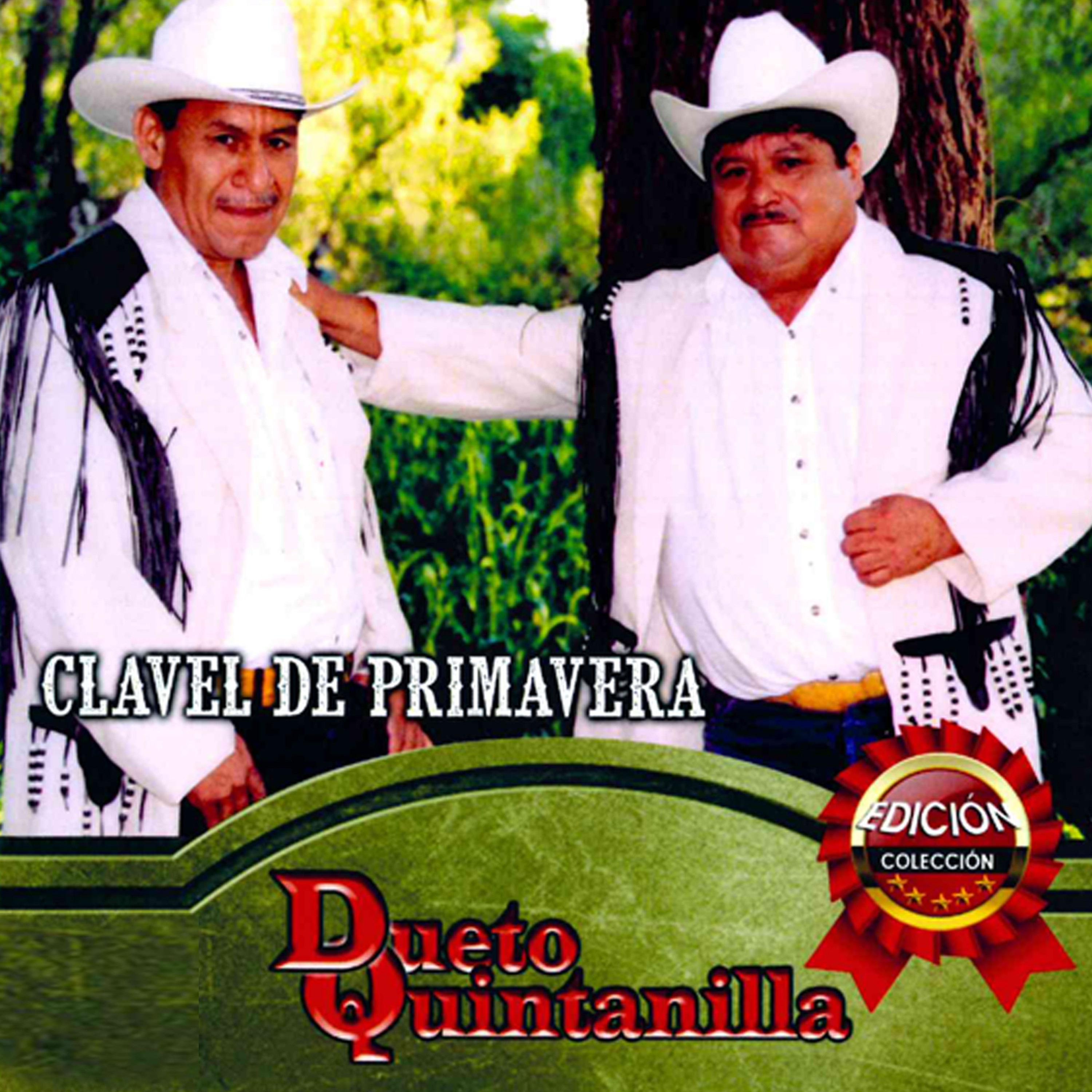 Постер альбома Clavel de Primavera