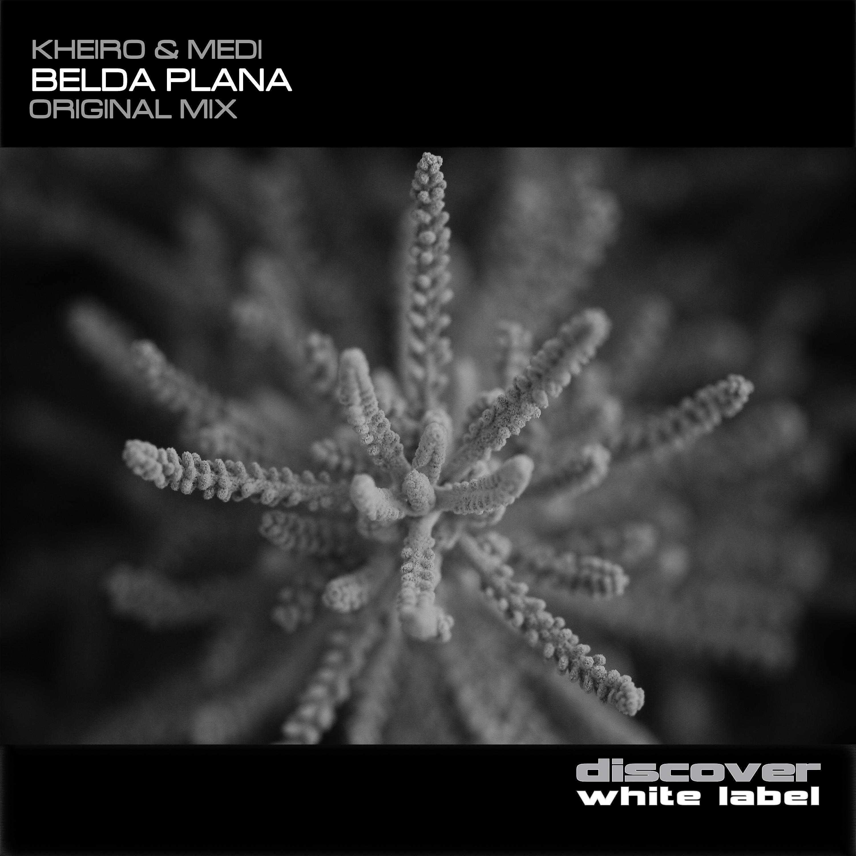 Постер альбома Belda Plana