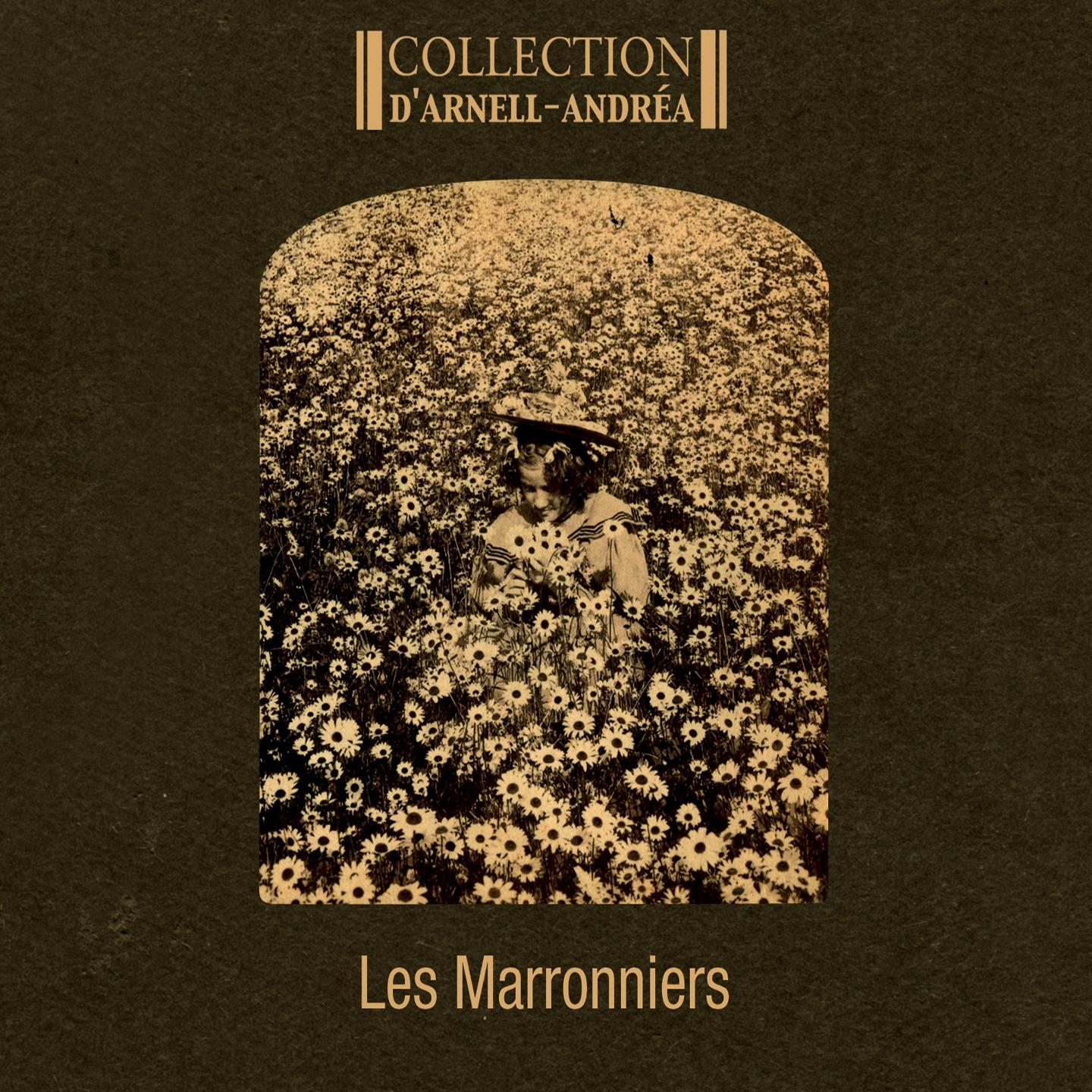 Постер альбома Les marronniers