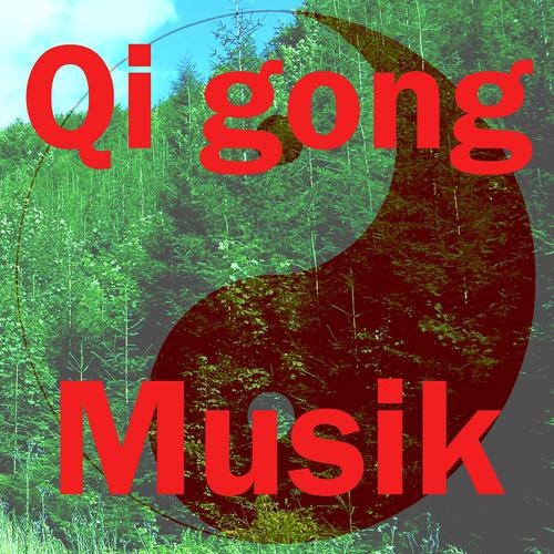 Постер альбома Qi Gong Musik