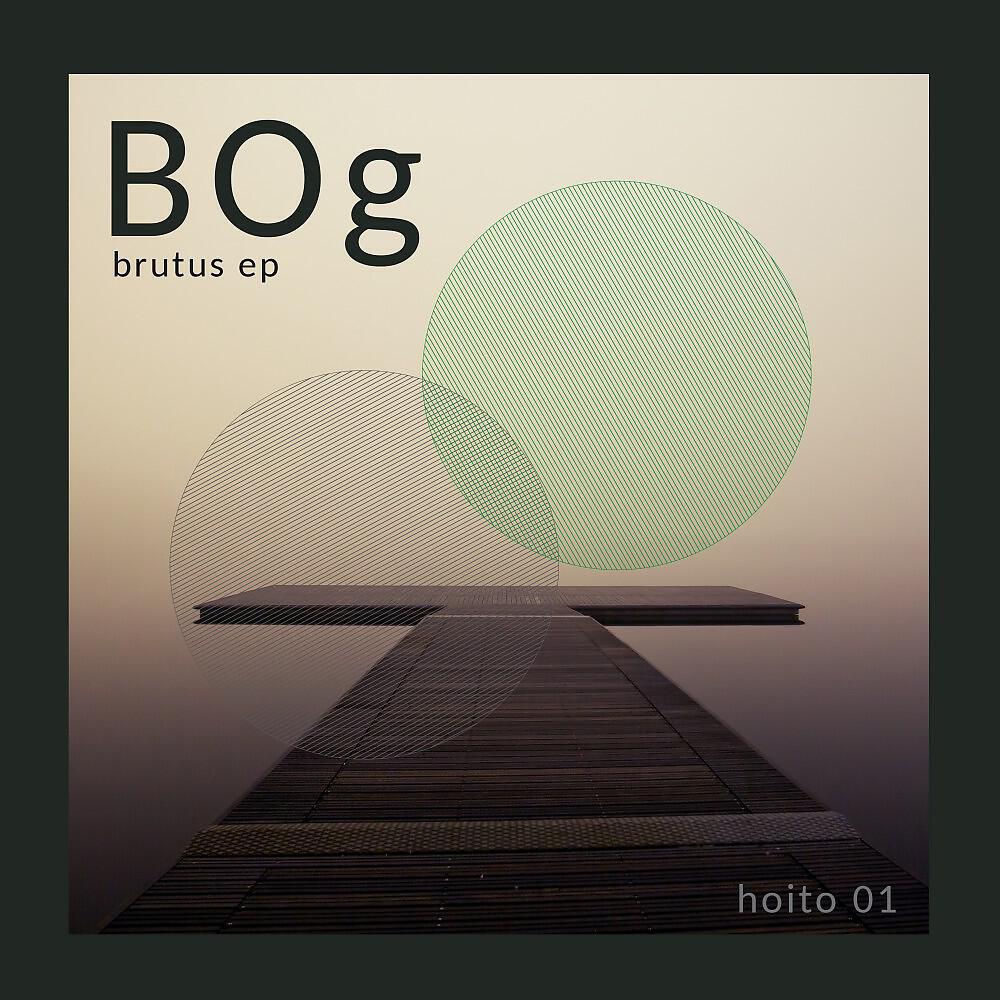 BOg - Not a Coincidence