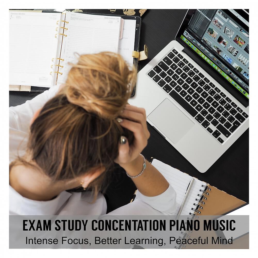 Student Concentration - Chill