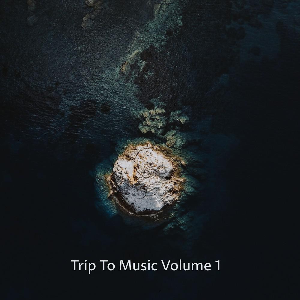 Постер альбома Trip to Music, Vol. 1