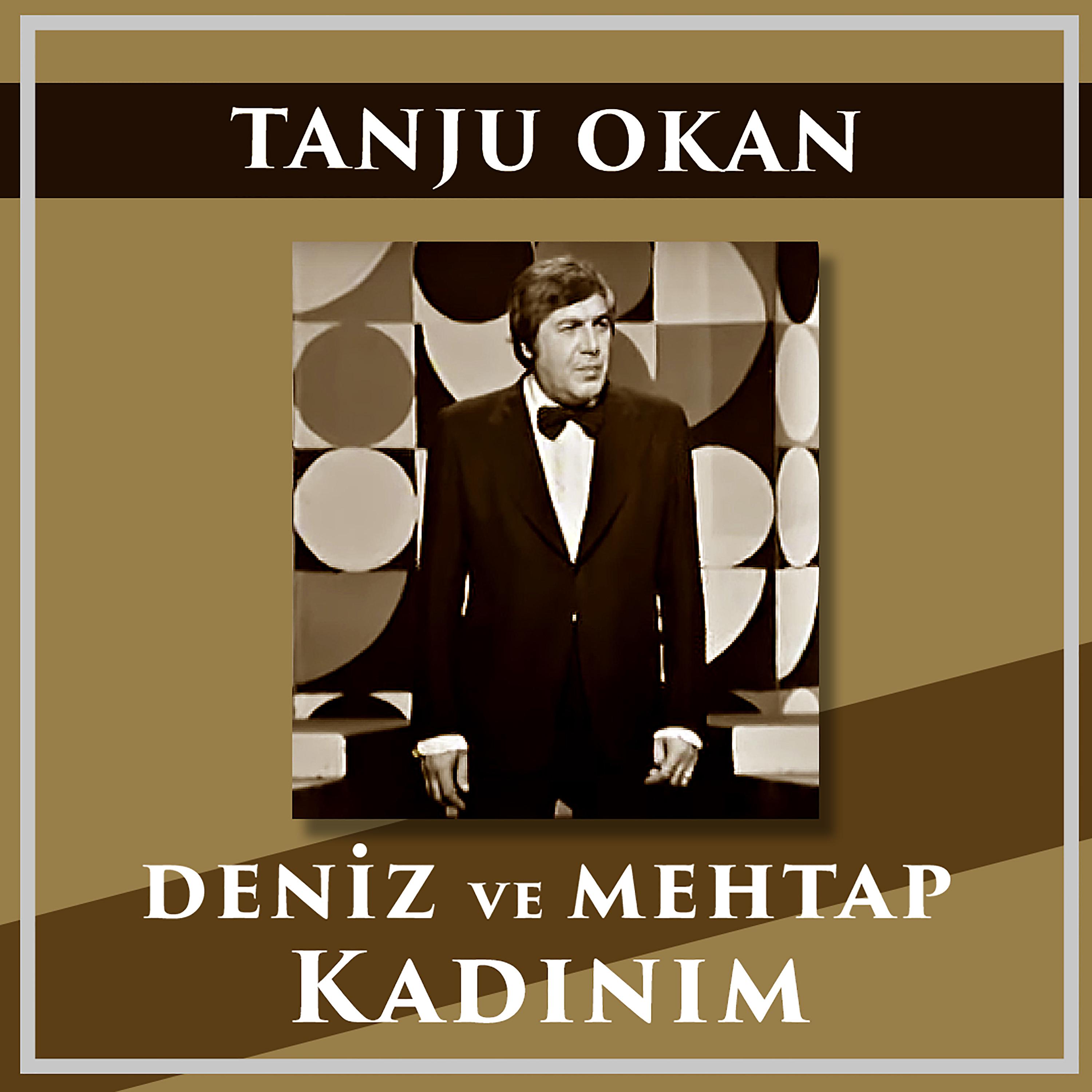 Постер альбома Deniz Ve Mehtap / Kadınım