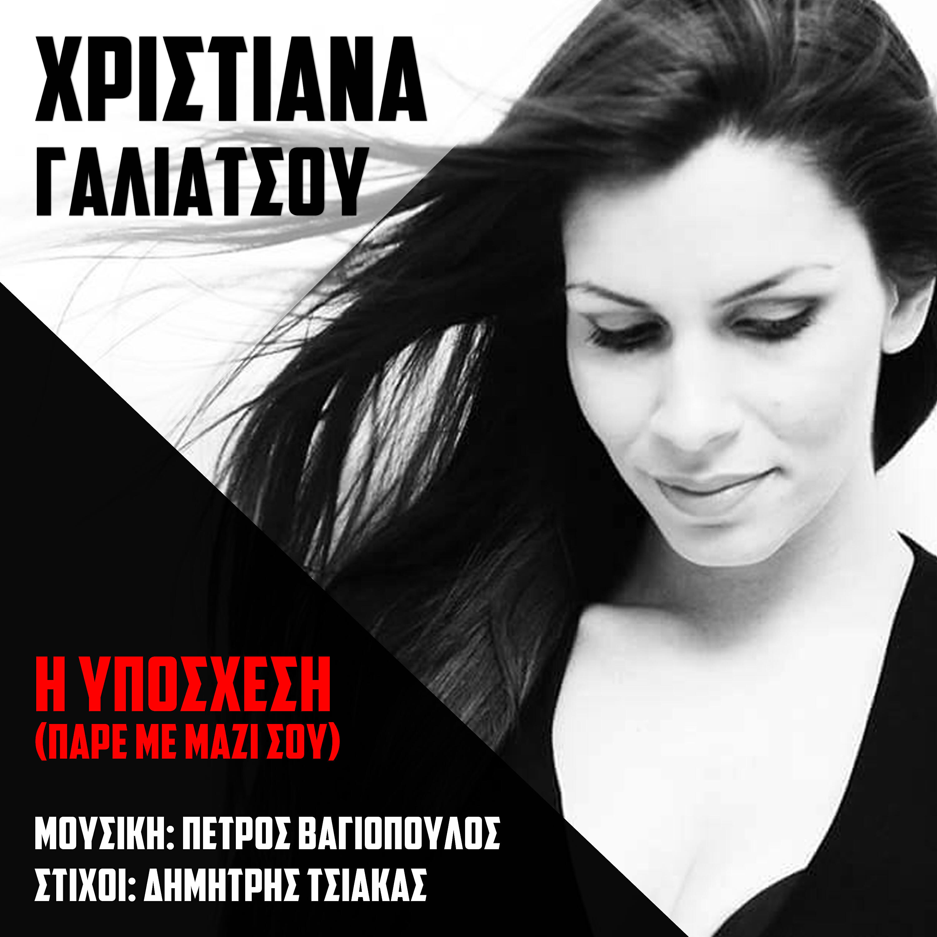 Petros Vagiopoulos - I Yposhesi (Pare Me Mazi Sοu)