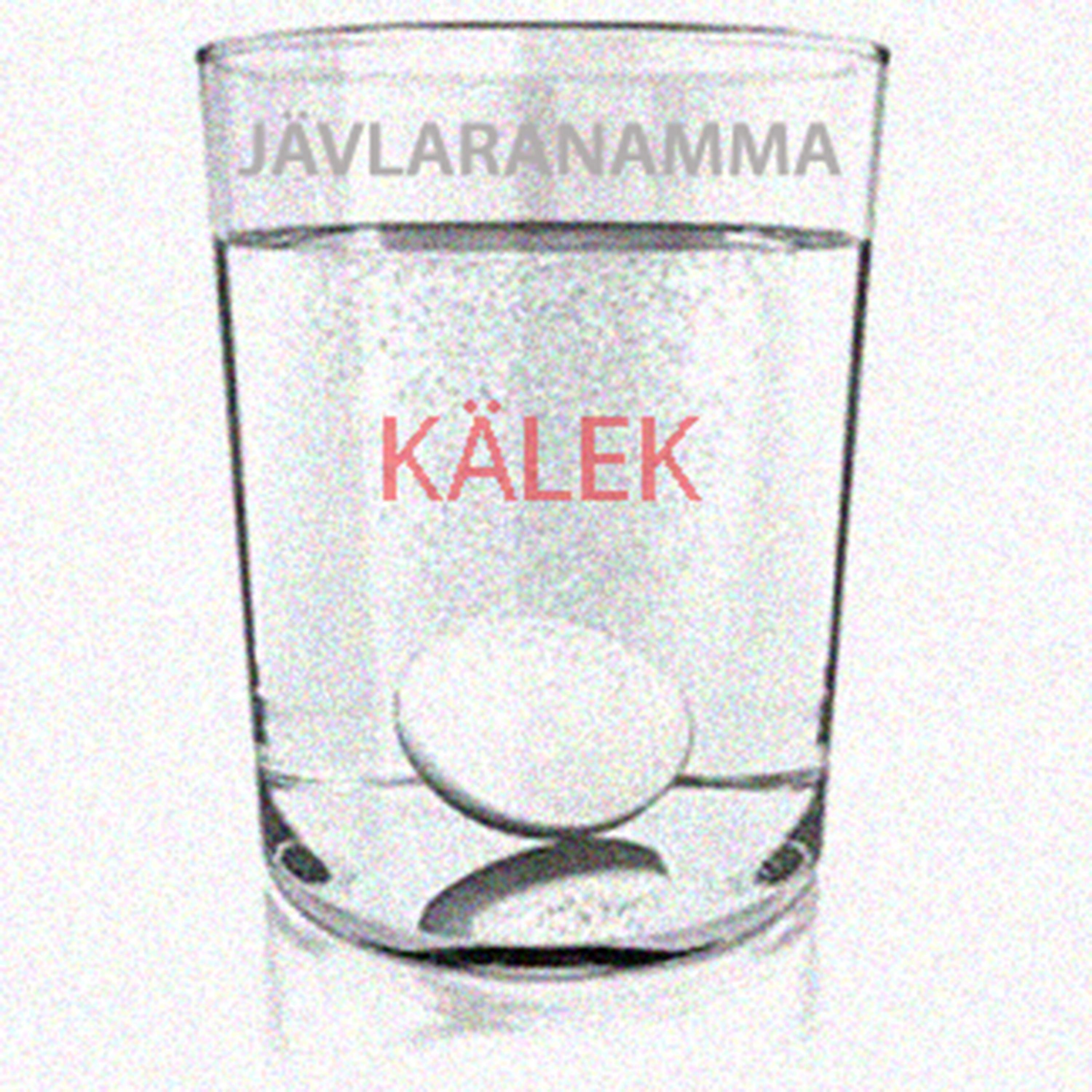 Постер альбома Kälek