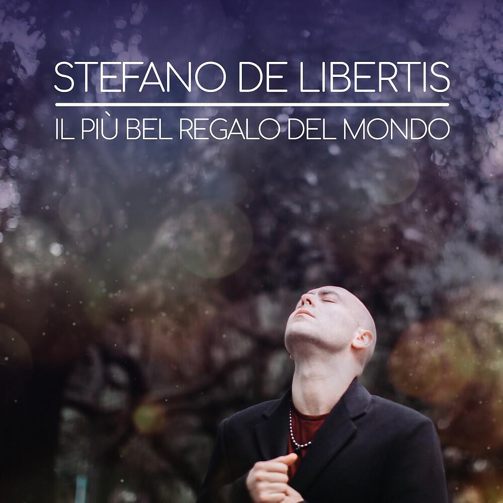 Stefano de Libertis - Il più bel regalo del mondo