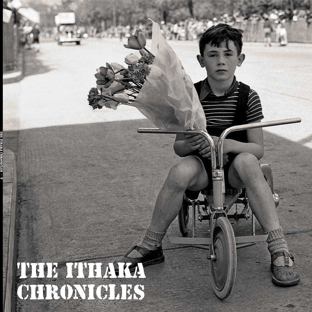 The Ithaka Chronicles - Sharks