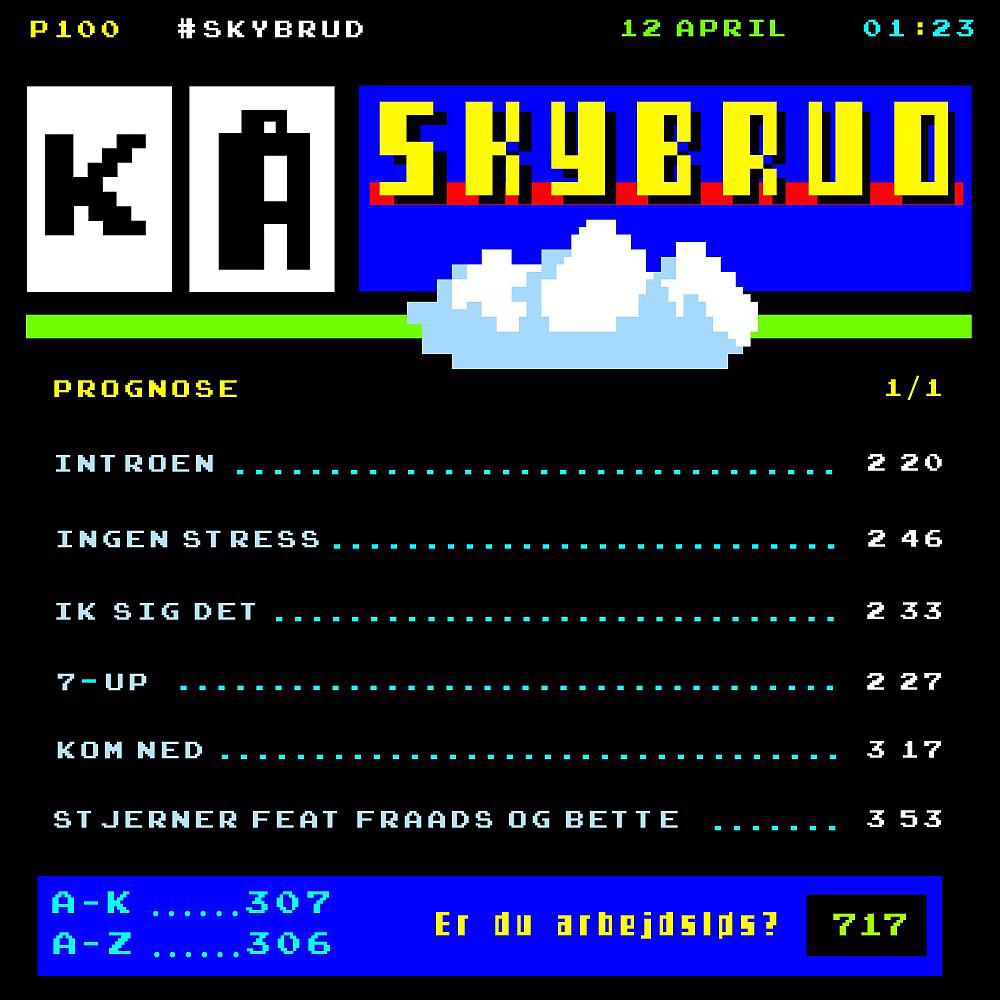 Постер альбома Skybrud