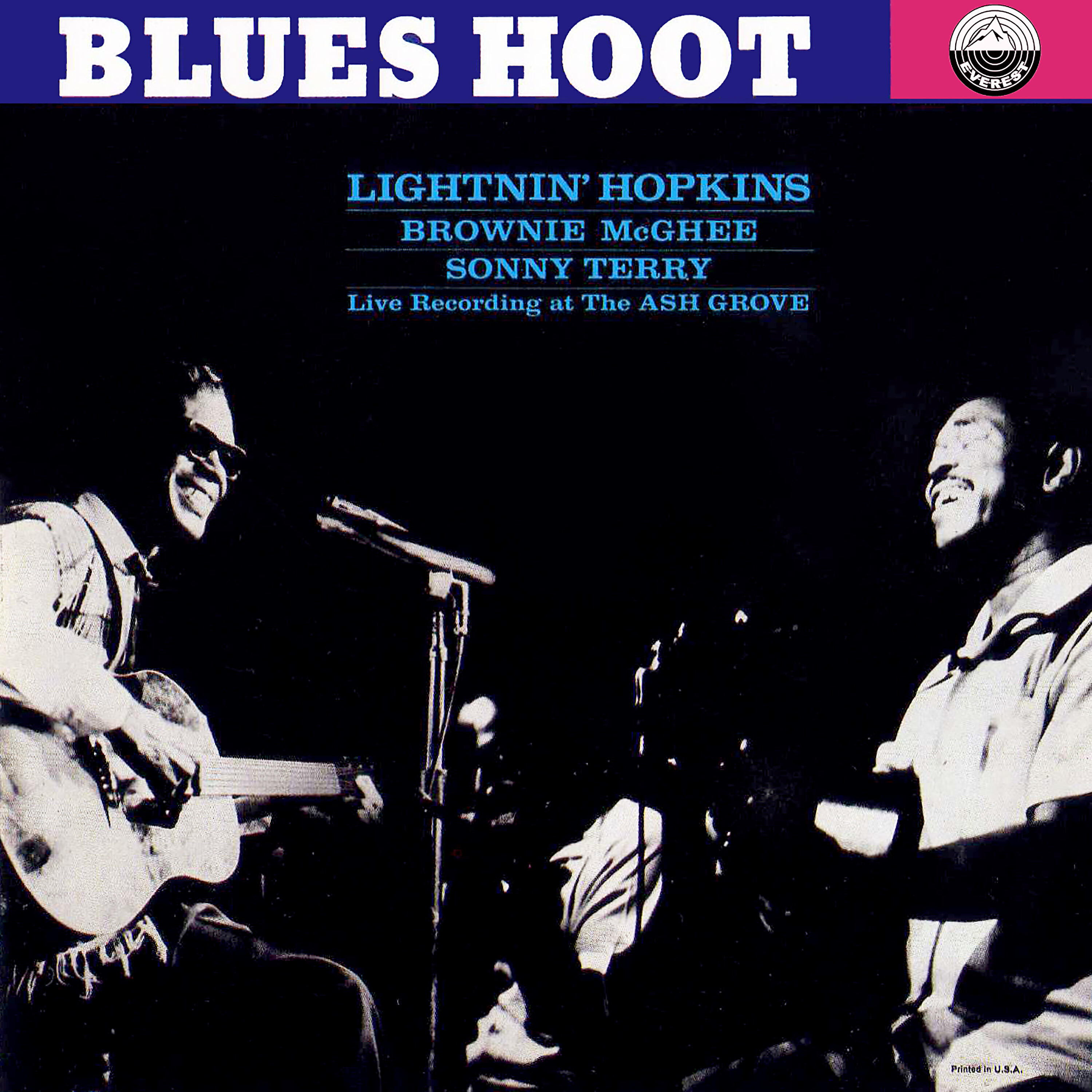 Big Joe Williams - Blues for Gamblers