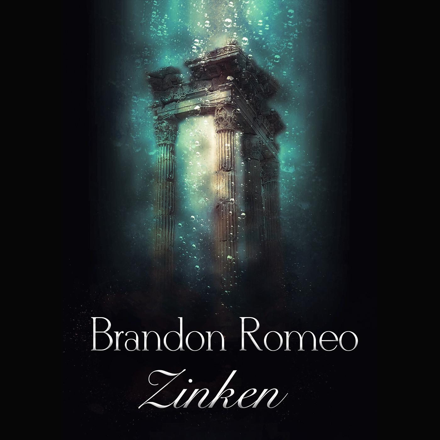 Постер альбома Zinken