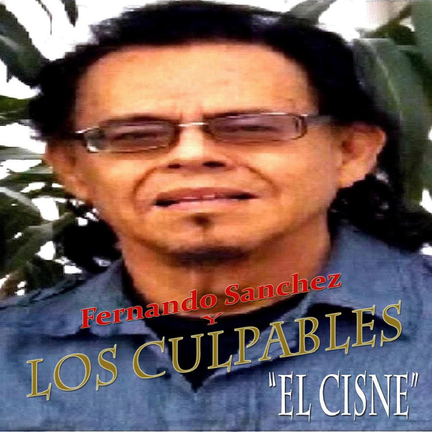 Постер альбома El Cisne