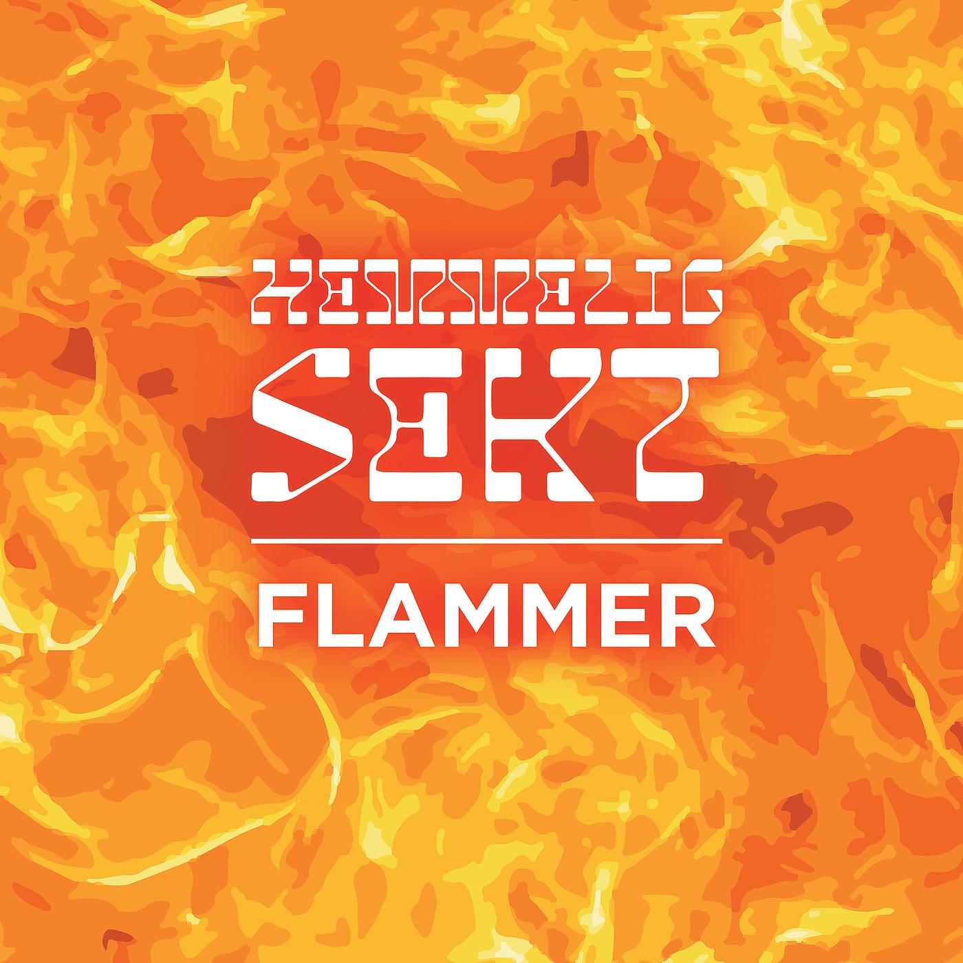 Постер альбома Flammer