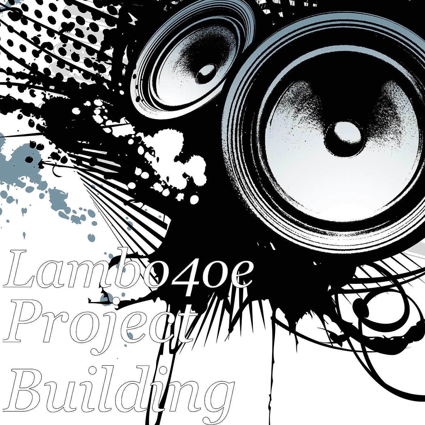 Постер альбома Project Building
