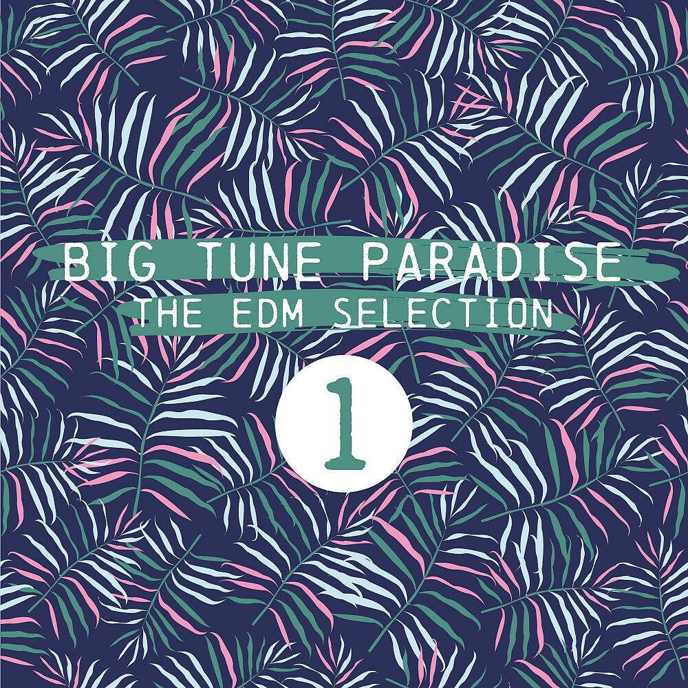 Alex Wild - Electronic Vibes (Festival Edit)