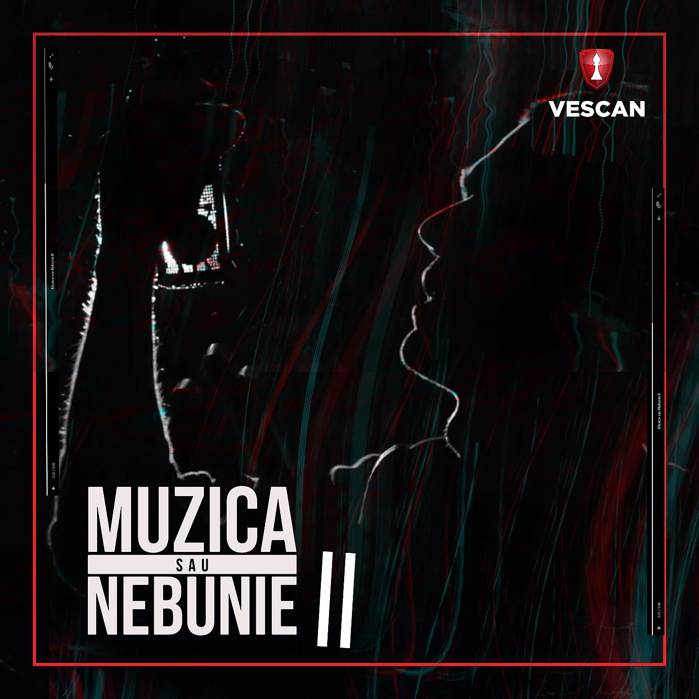 Постер альбома Muzica Sau Nebunie II