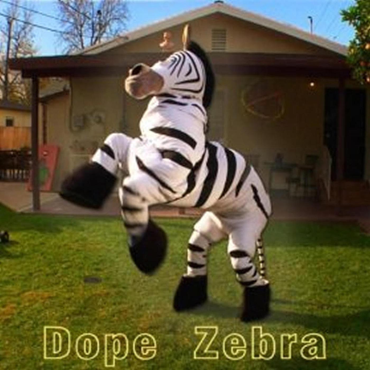 Постер альбома Dope Zebra
