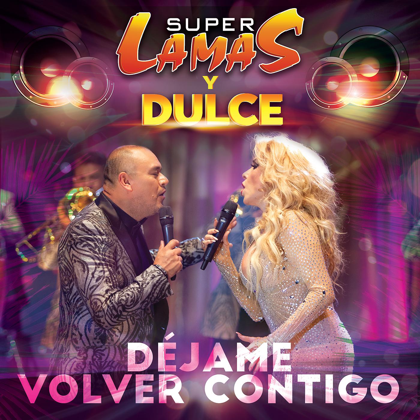 Постер альбома Déjame Volver Contigo