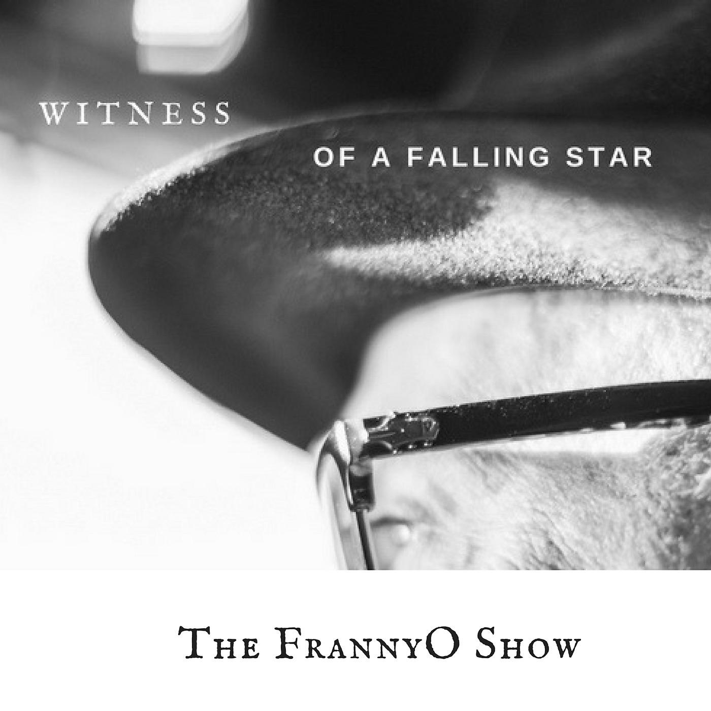 Постер альбома Witness of a Falling Star