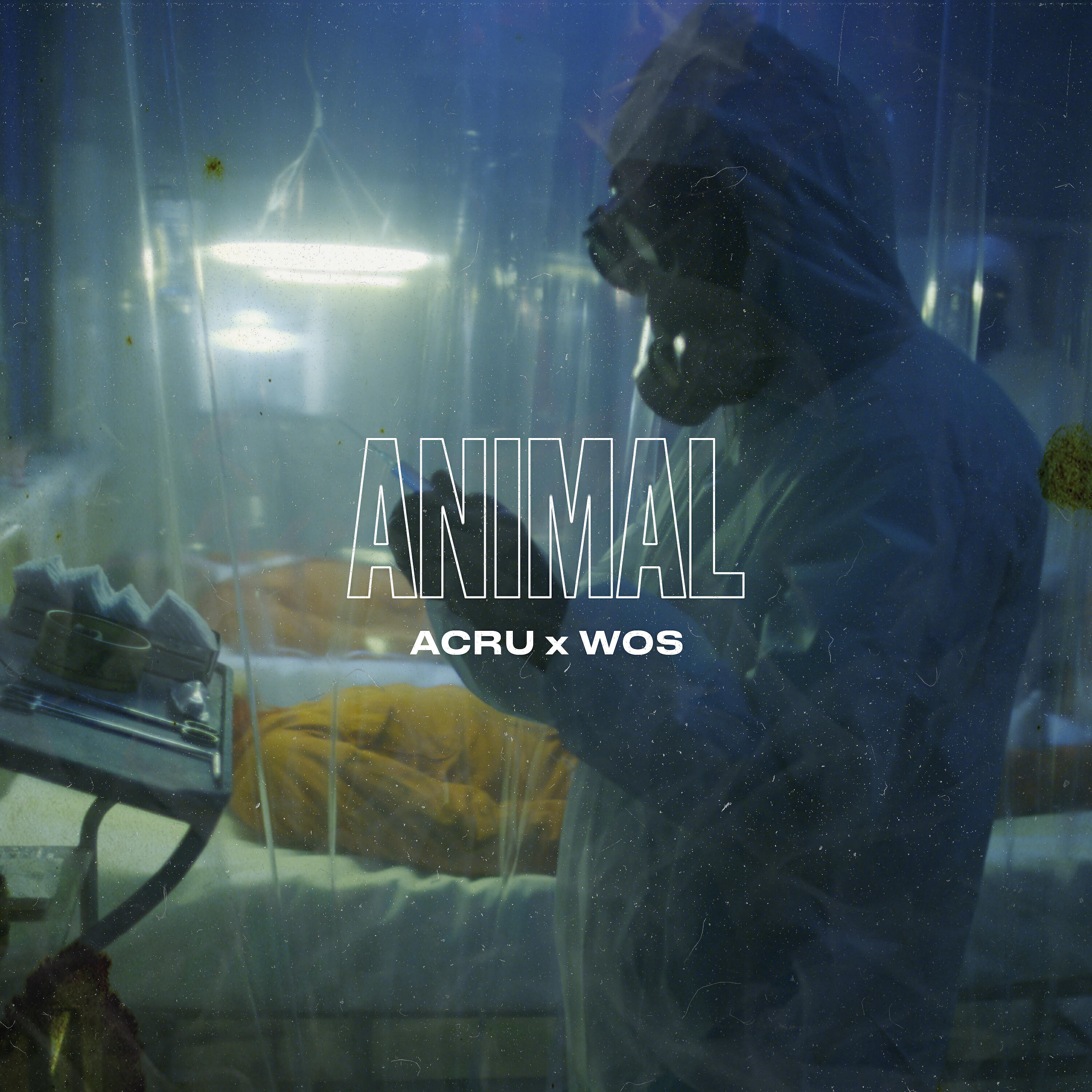 Acru - ANIMAL