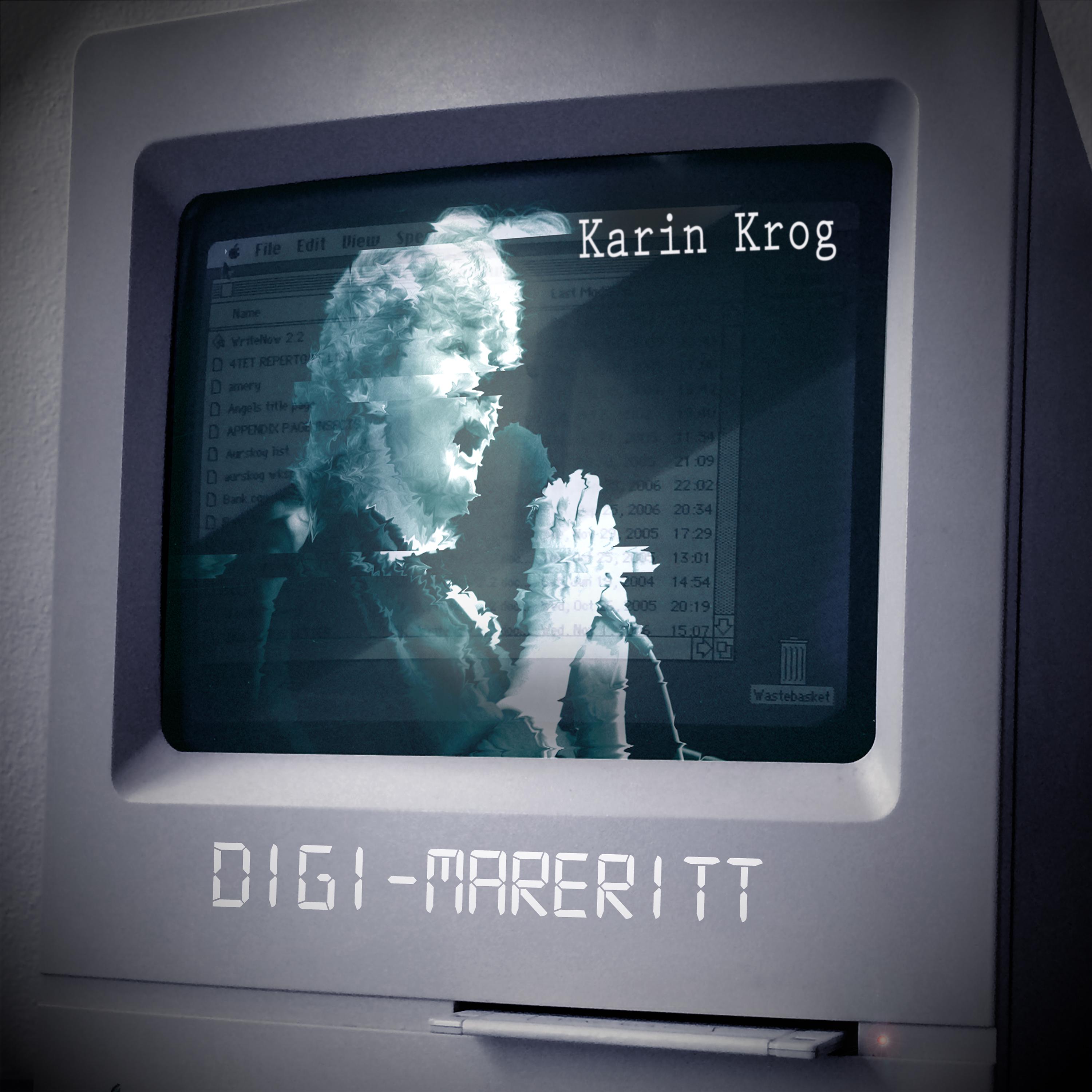 Постер альбома Digi-Mareritt