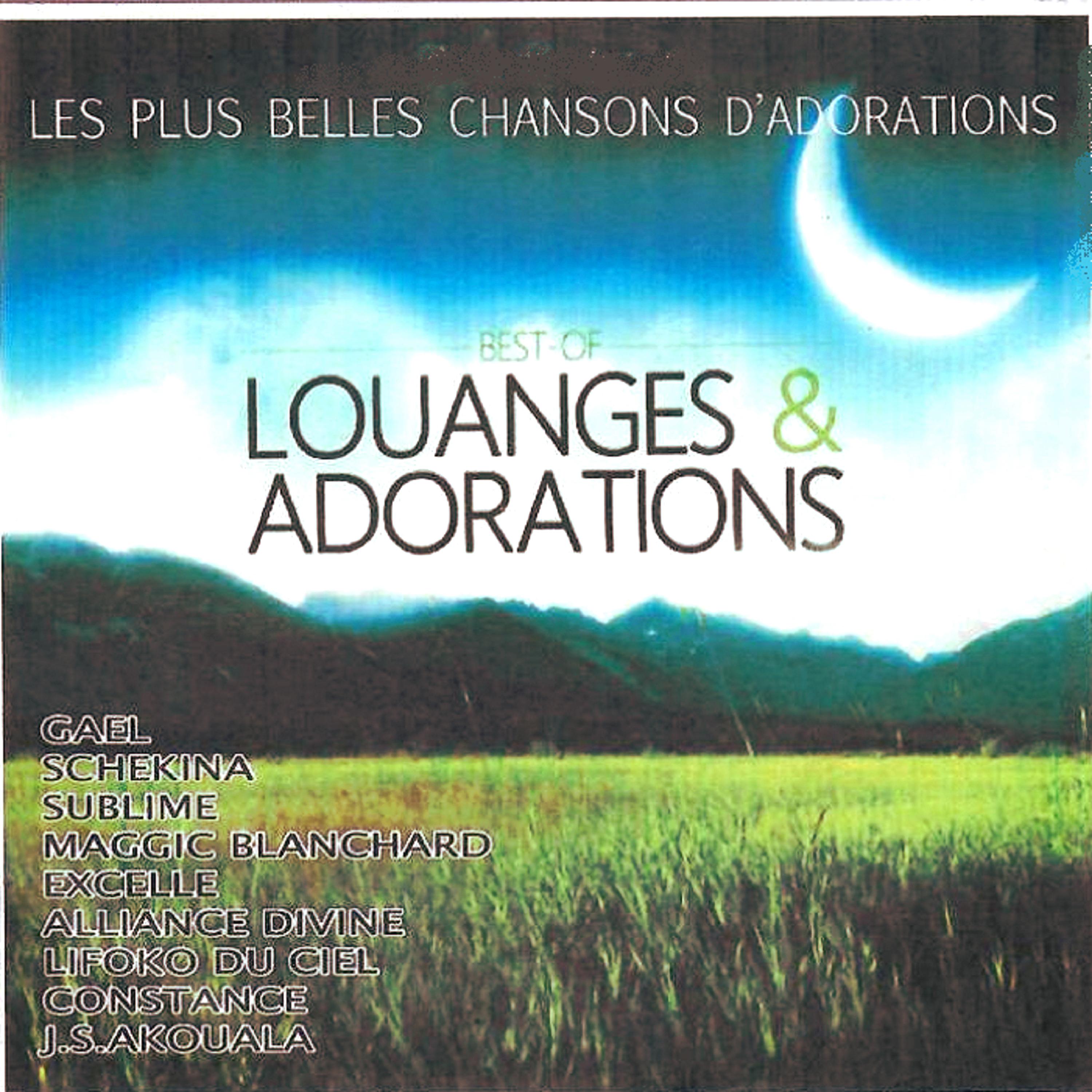 Постер альбома Best of Louanges & Adorations
