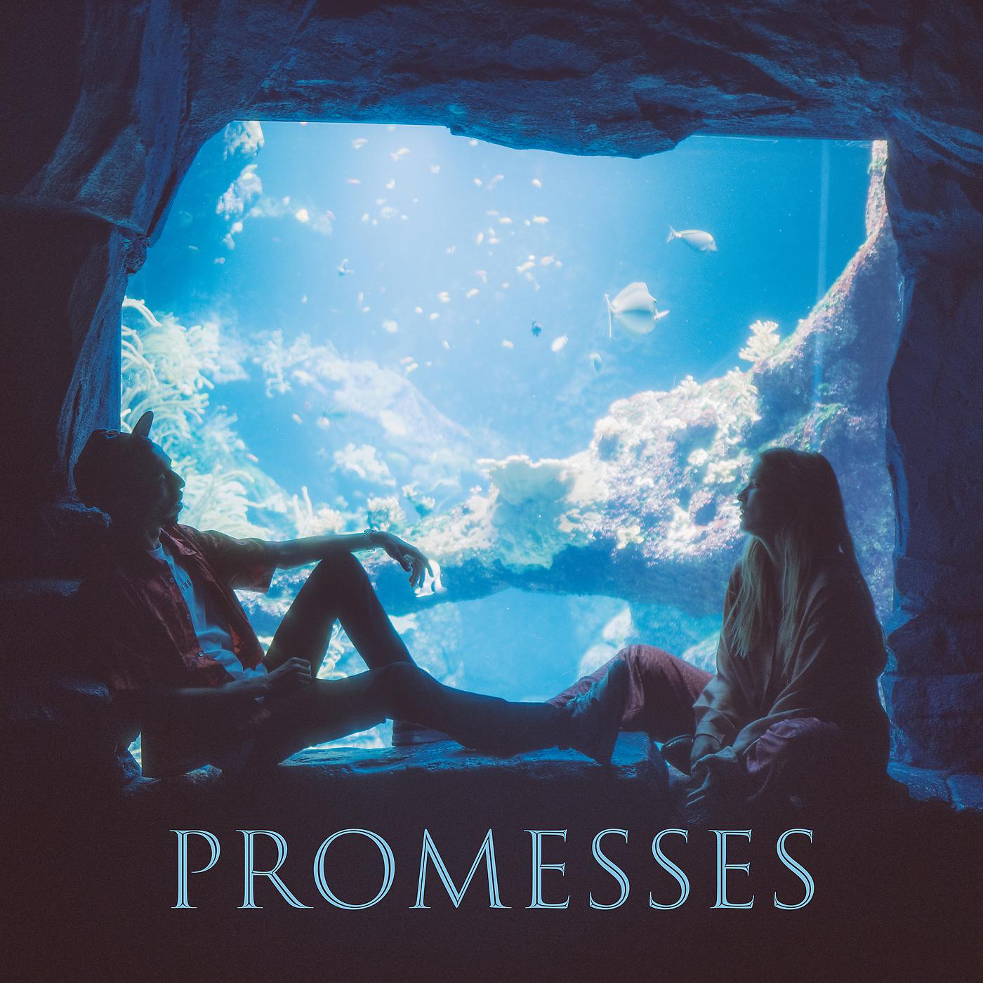 Постер альбома Promesses