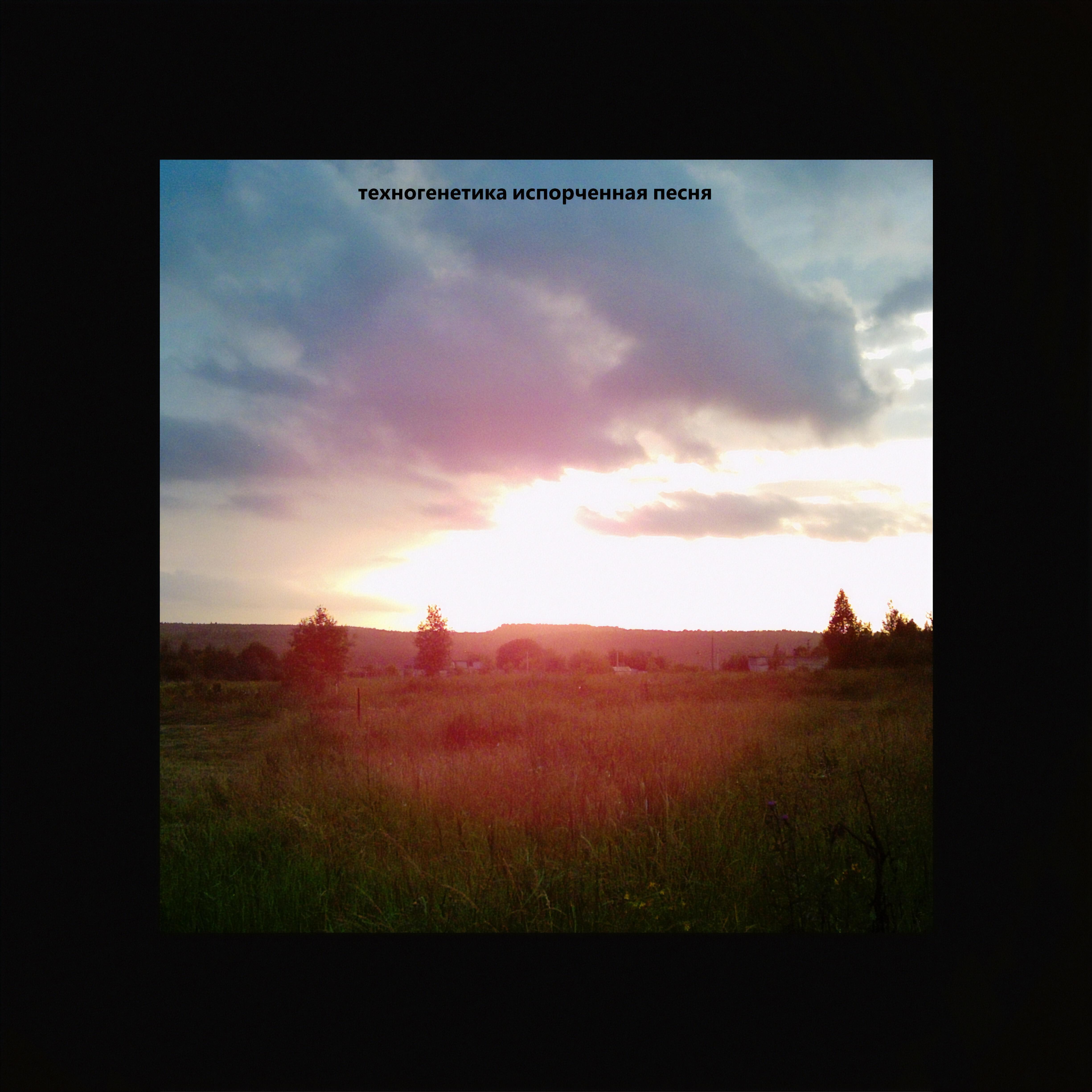 статусы про родственников мужа. улетаю прочь amirchik обложка. верьте в любовь девчонки аллегрова текст. каждому свое цитаты. текст песни слова.