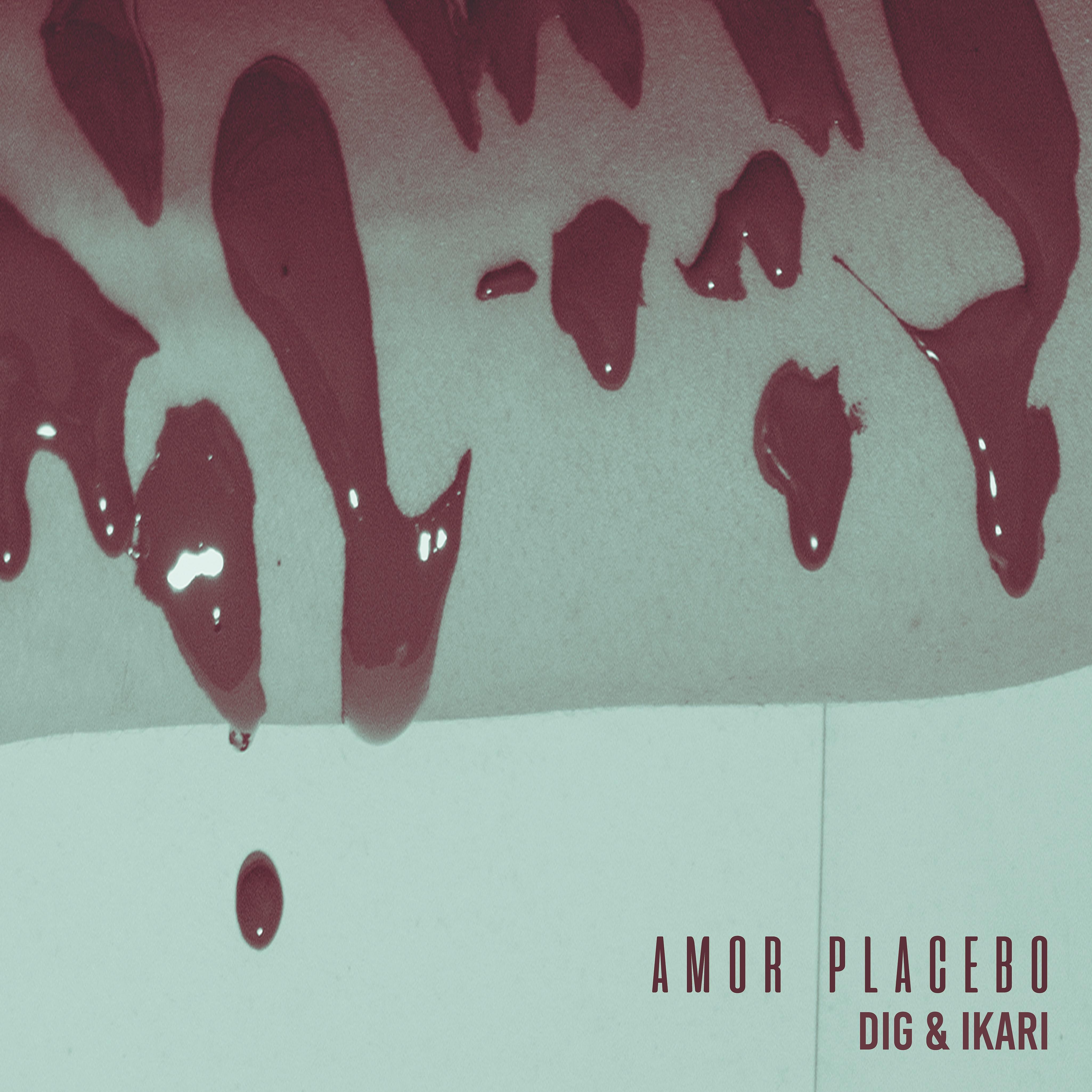 Постер альбома Amor Placebo
