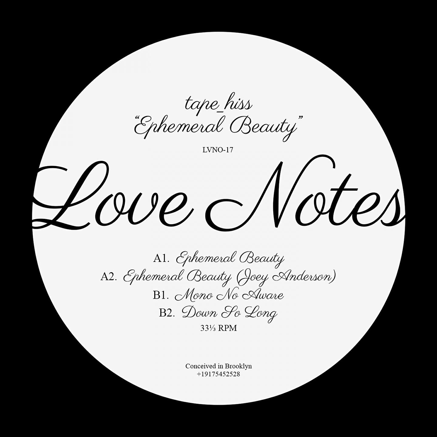 tape_hiss - Ephemeral Beauty