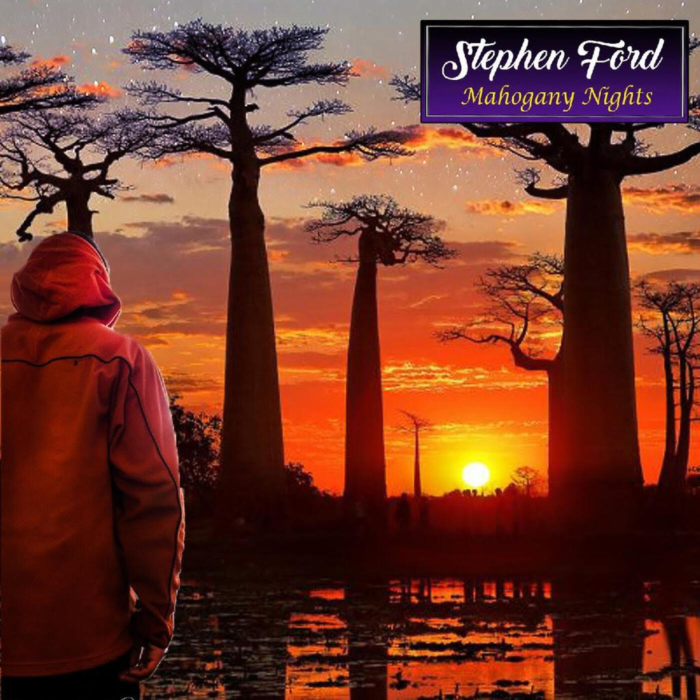 Stephen Ford - No Way