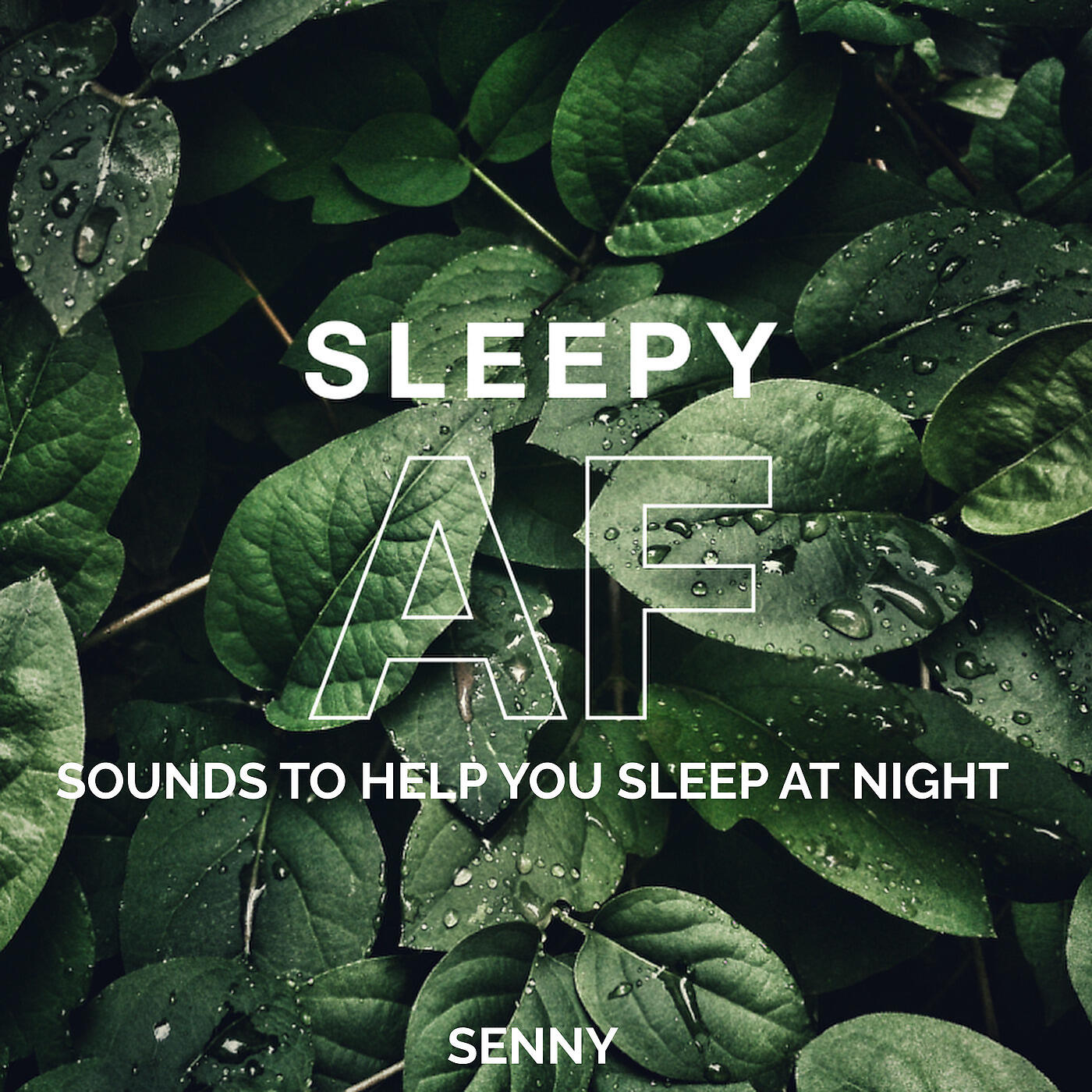 Senny - Beach Sounds at Night with Rolling Waves for Meditation and Rem Sleep