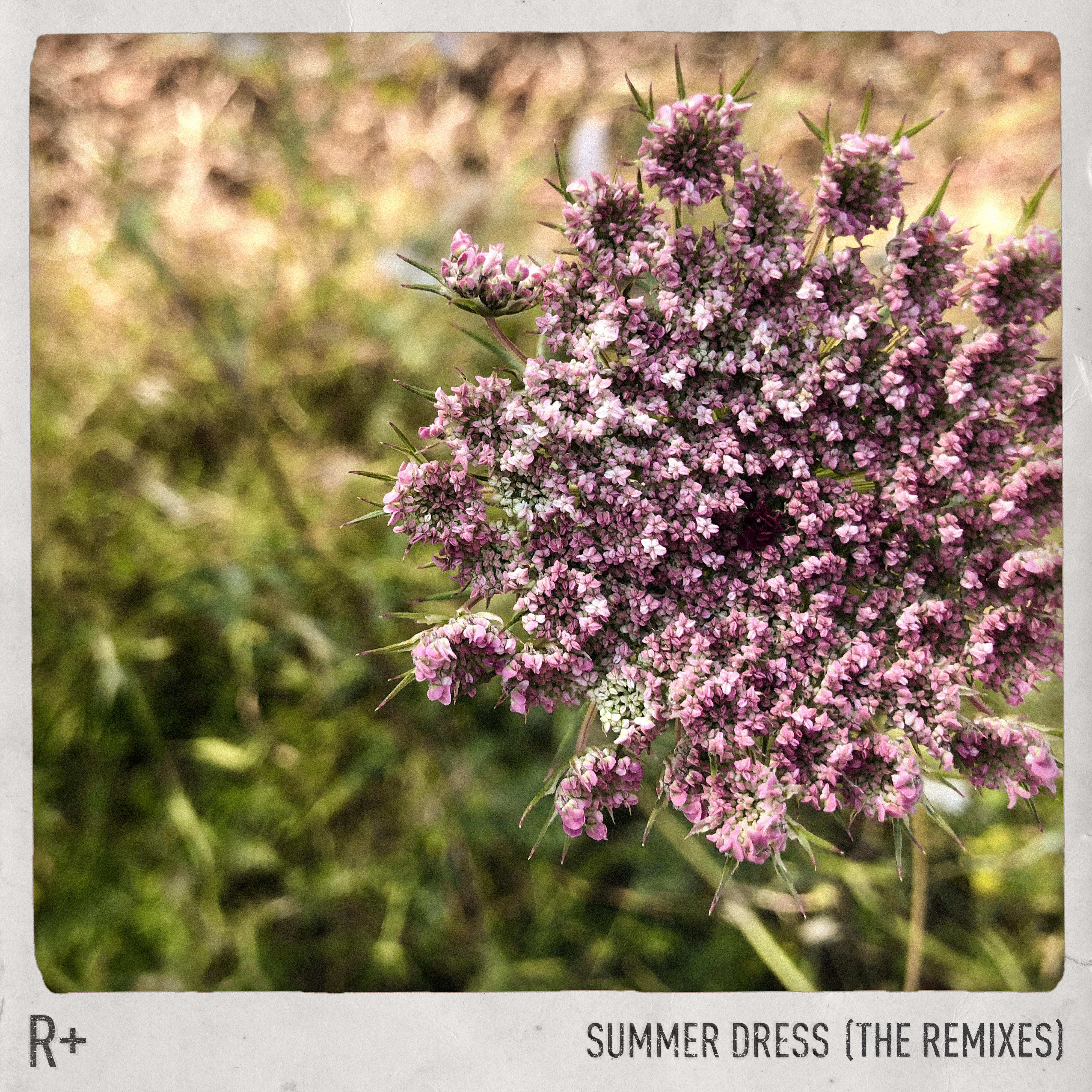 R Plus - Summer Dress (Amtrac Remix)