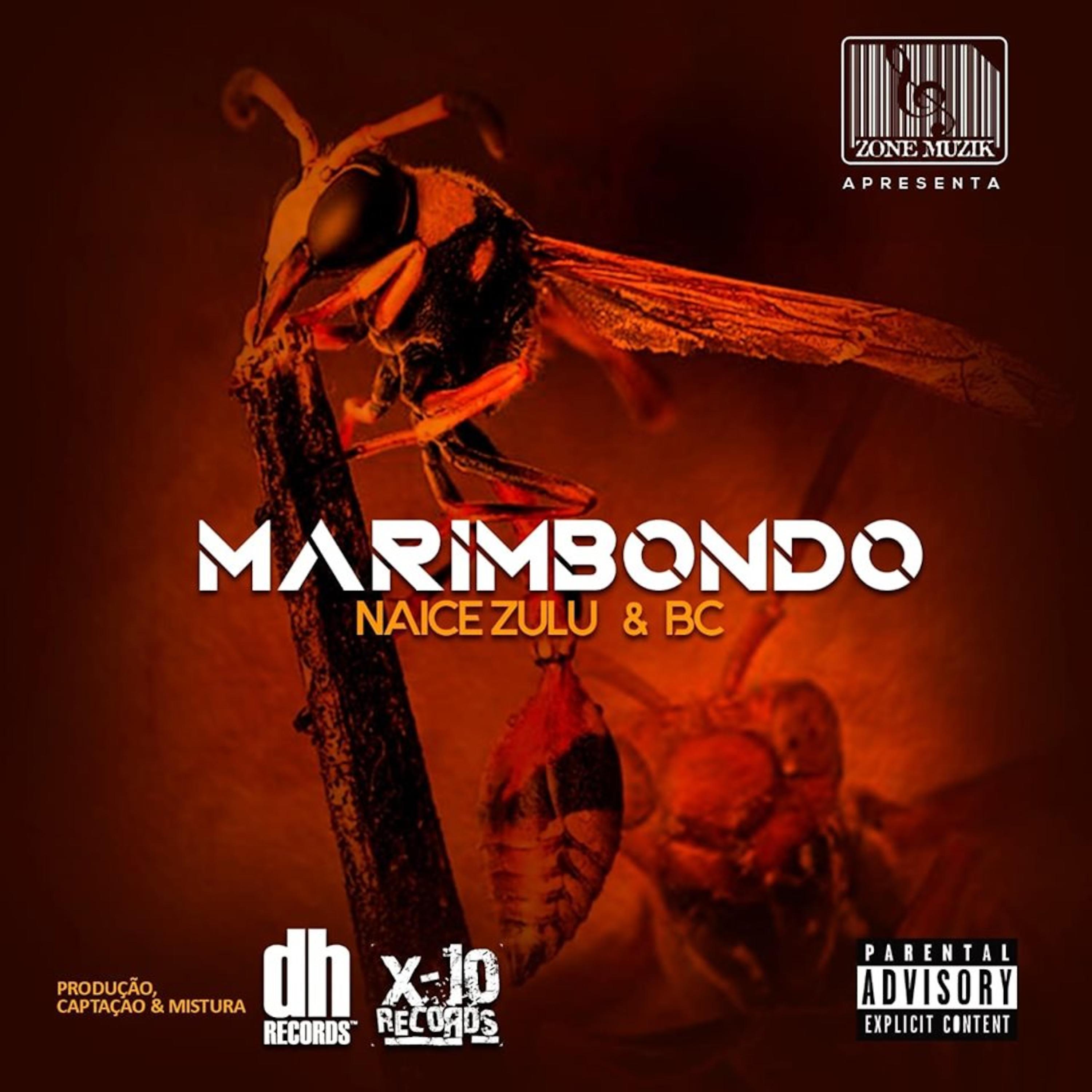 Постер альбома Marimbondo