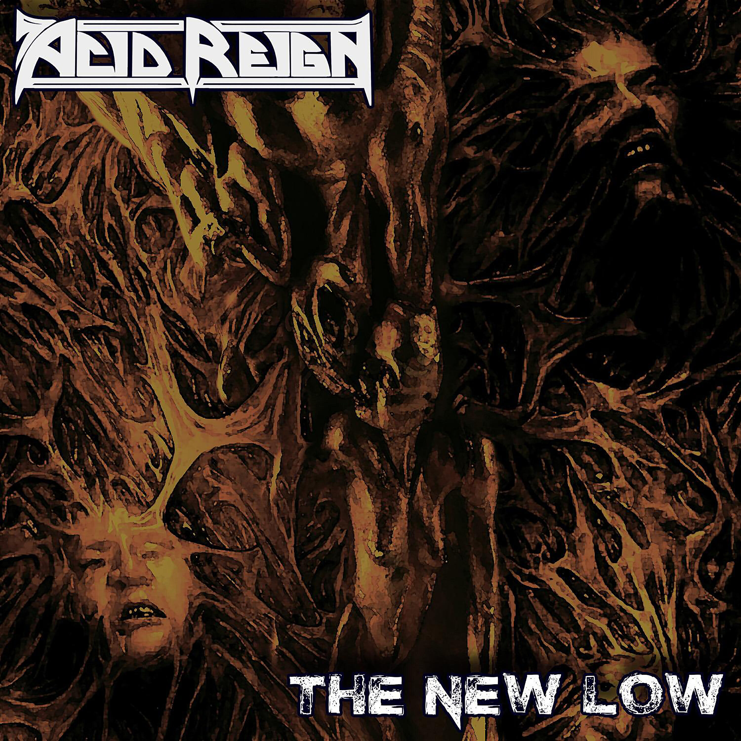 ACID REIGN - The New Low