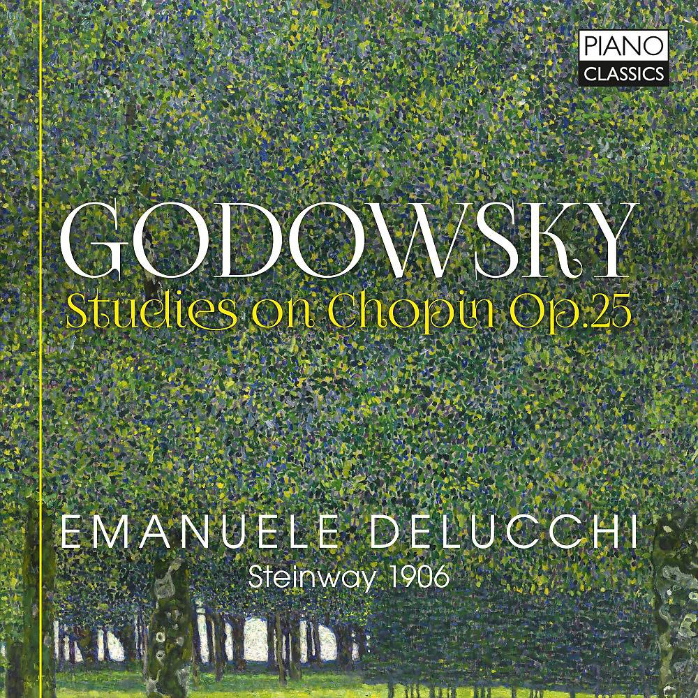 Постер альбома Godowsky: Studies on Chopin, Op. 25