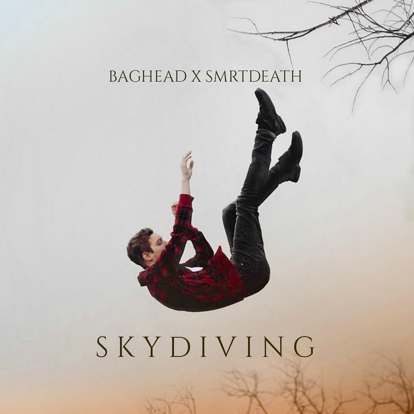 Постер альбома Skydiving